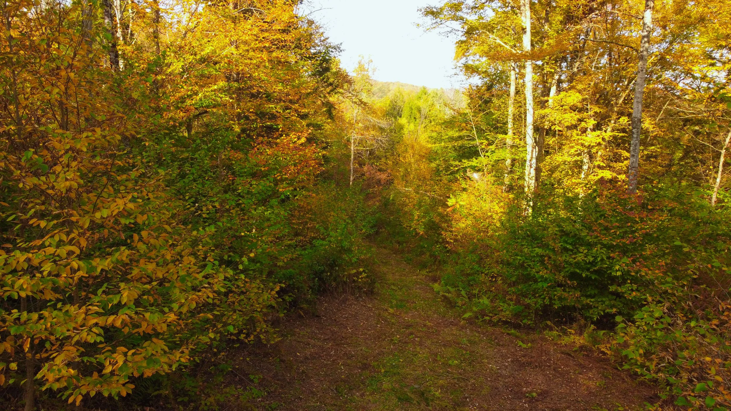 DJI_0929.jpg
