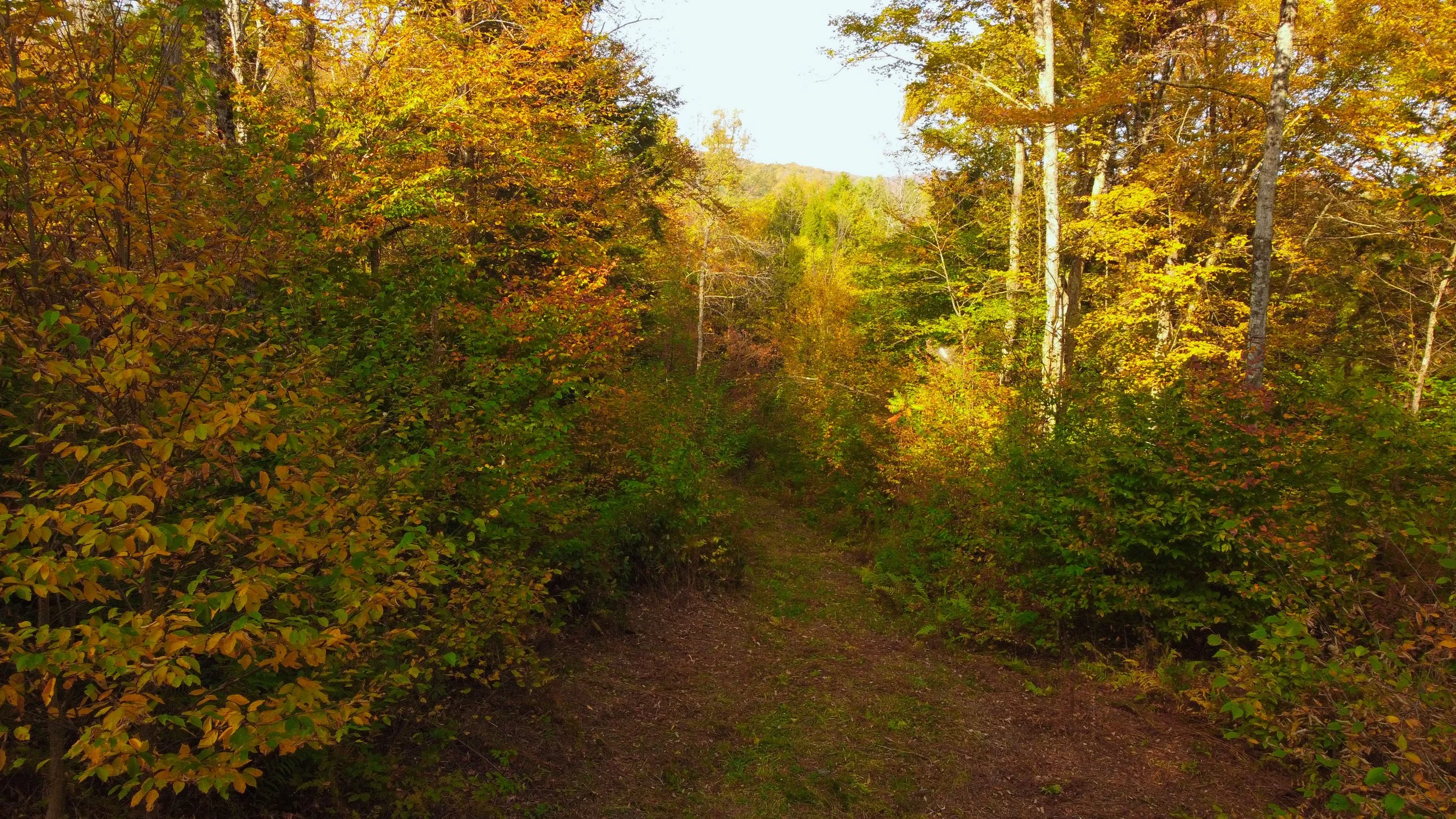 DJI_0928.jpg