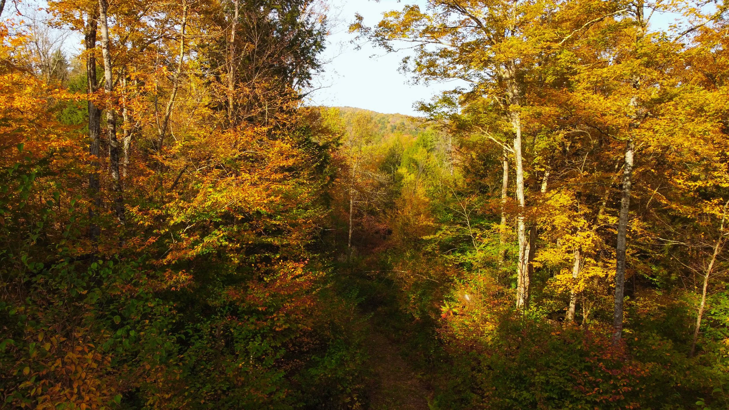 DJI_0927.jpg