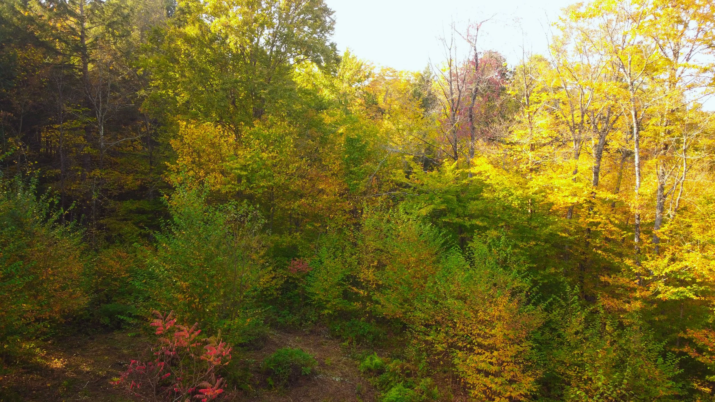 DJI_0925.jpg