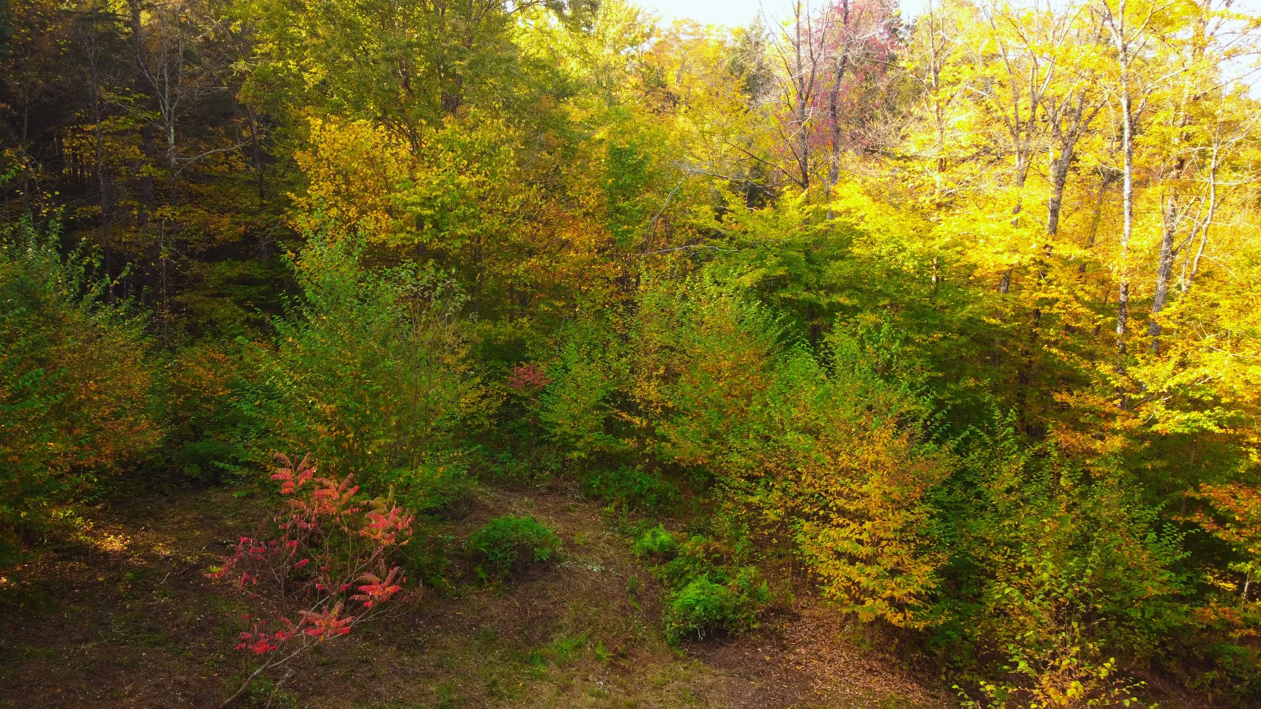 DJI_0926.jpg