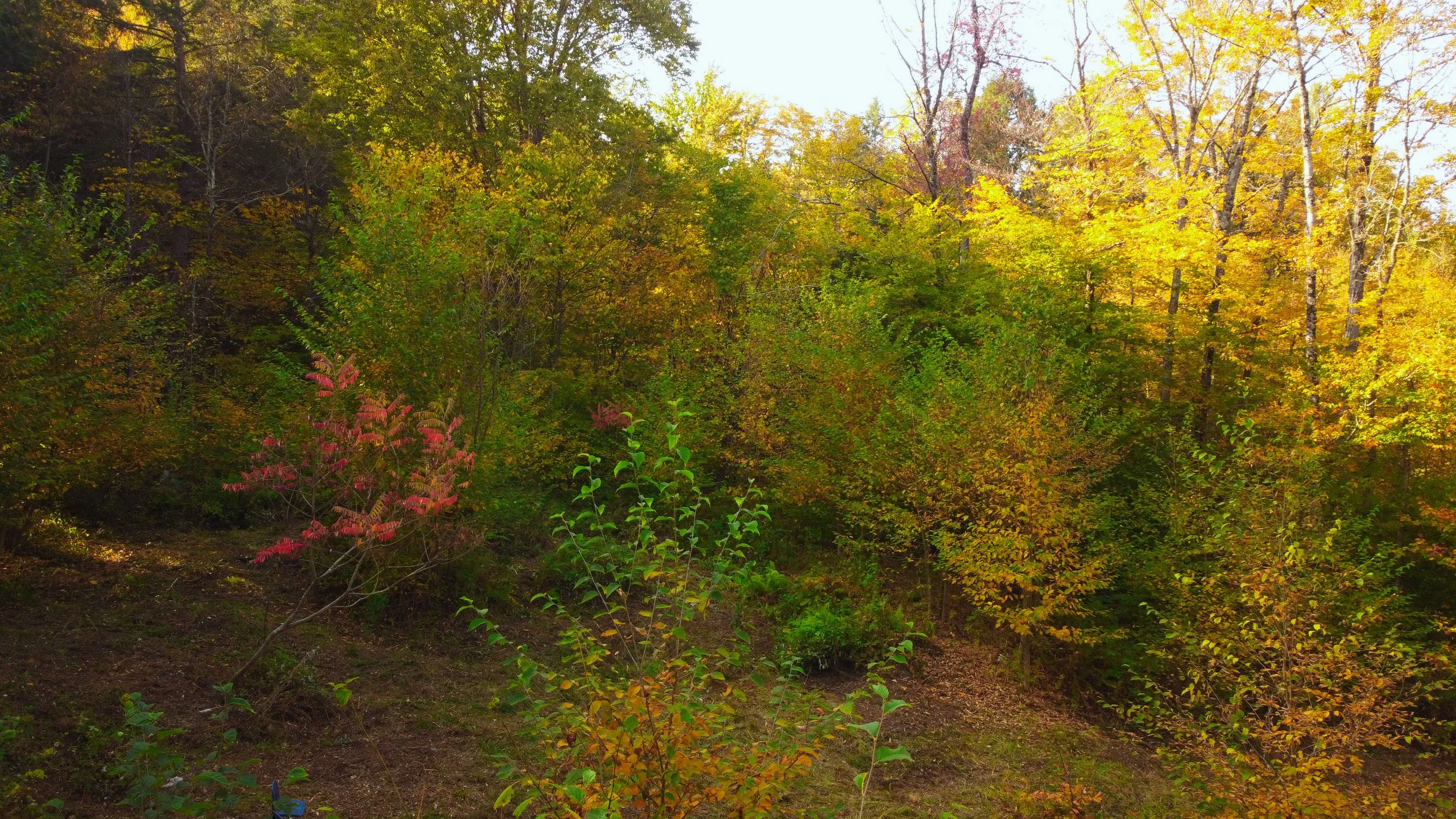 DJI_0924.jpg