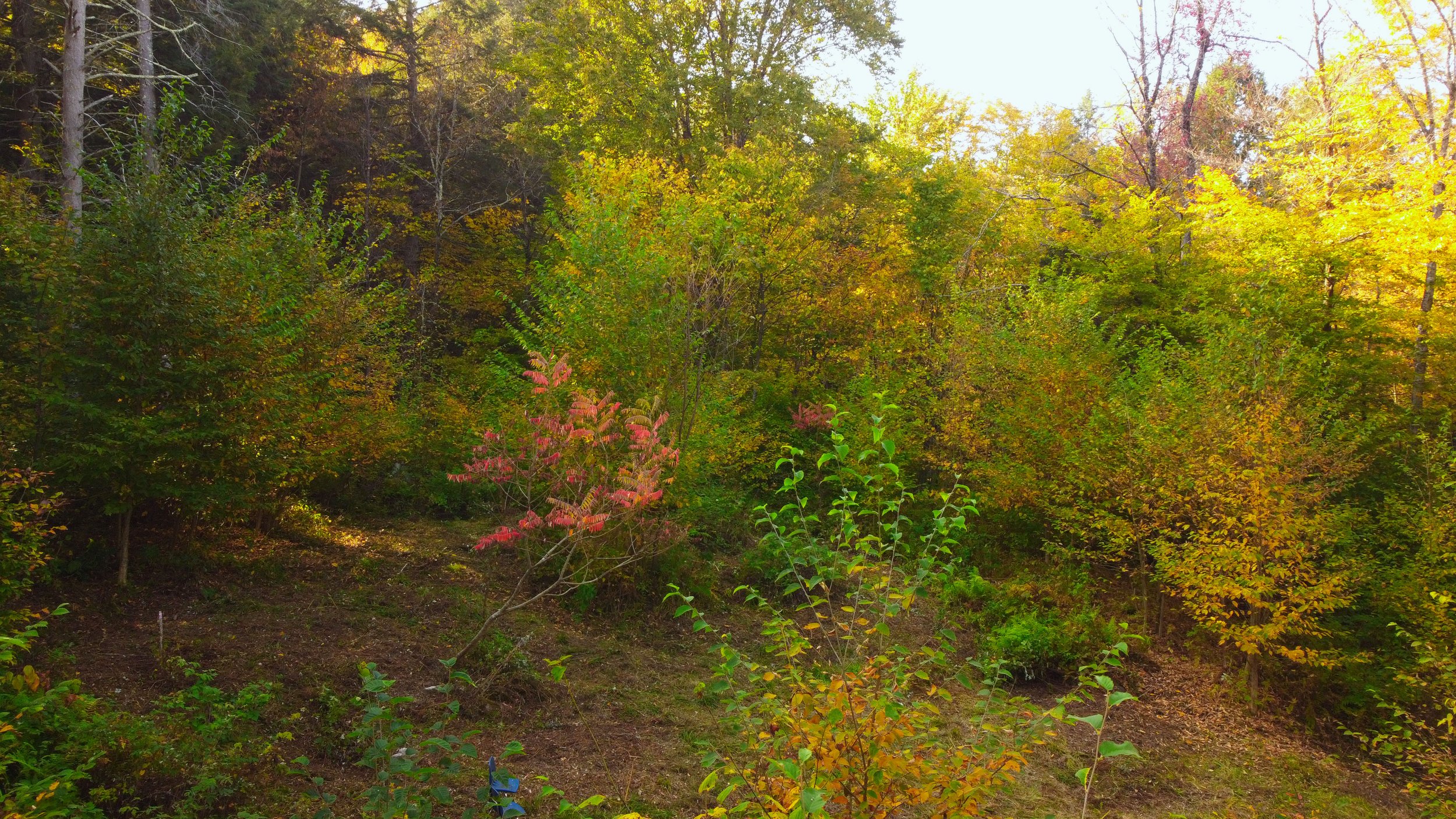 DJI_0923.jpg