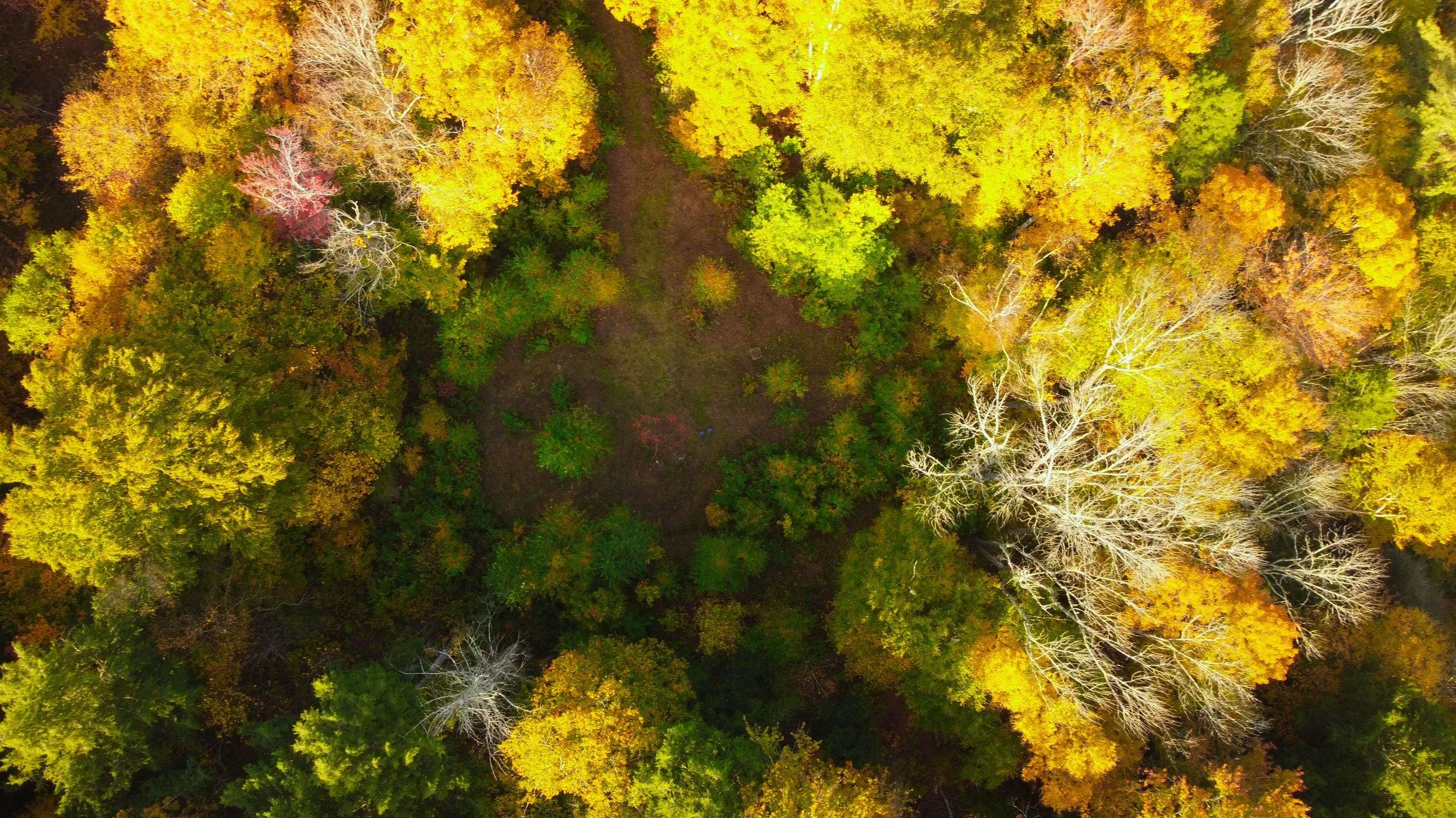 DJI_0922 (1).jpg