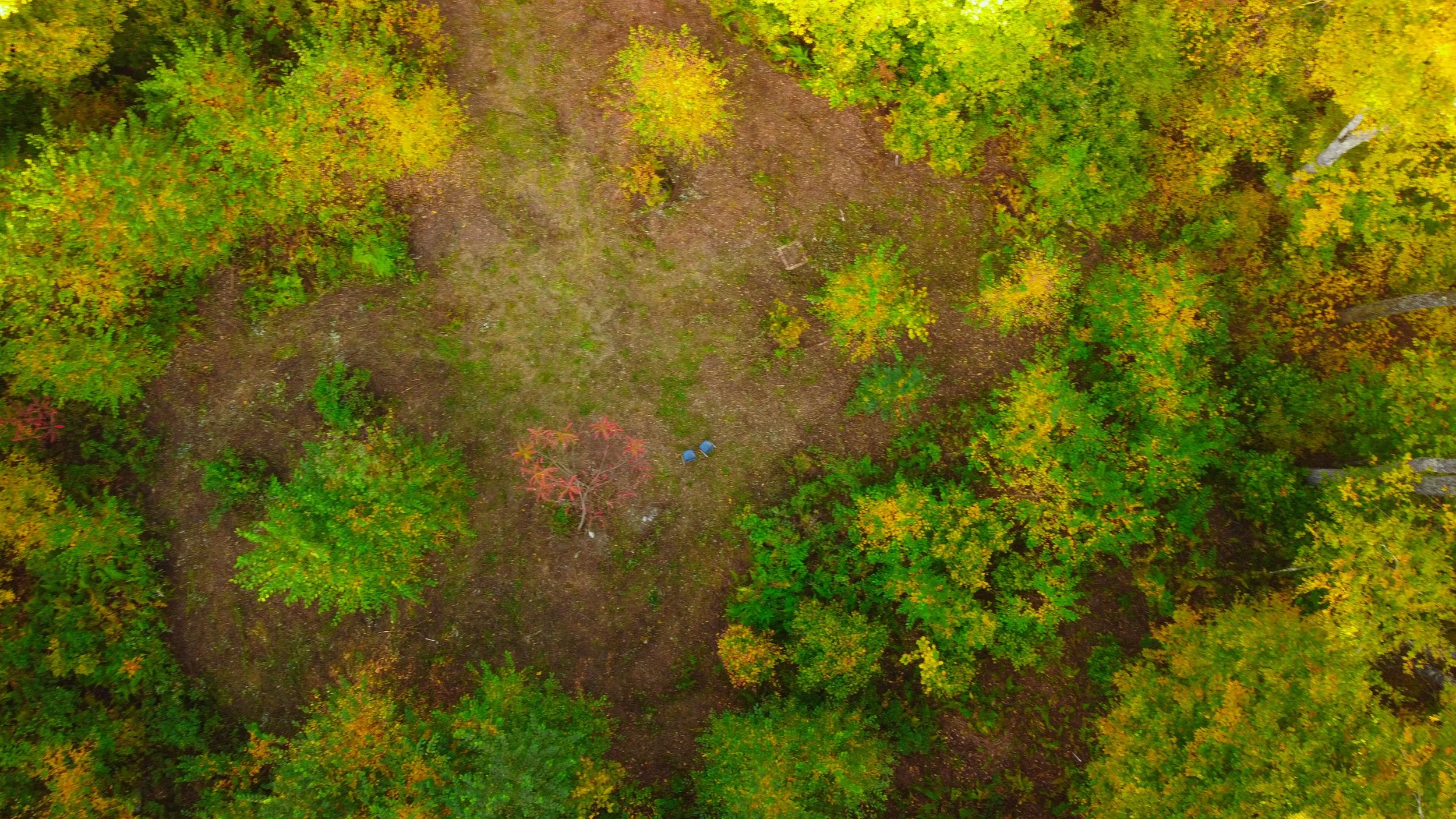 DJI_0920.jpg