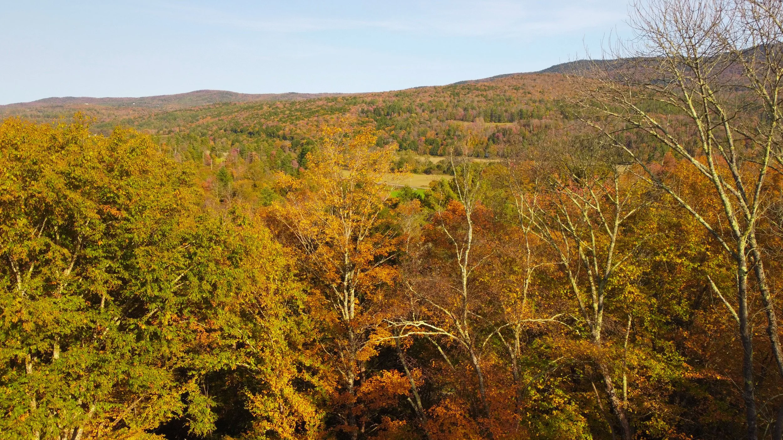 DJI_0918.jpg