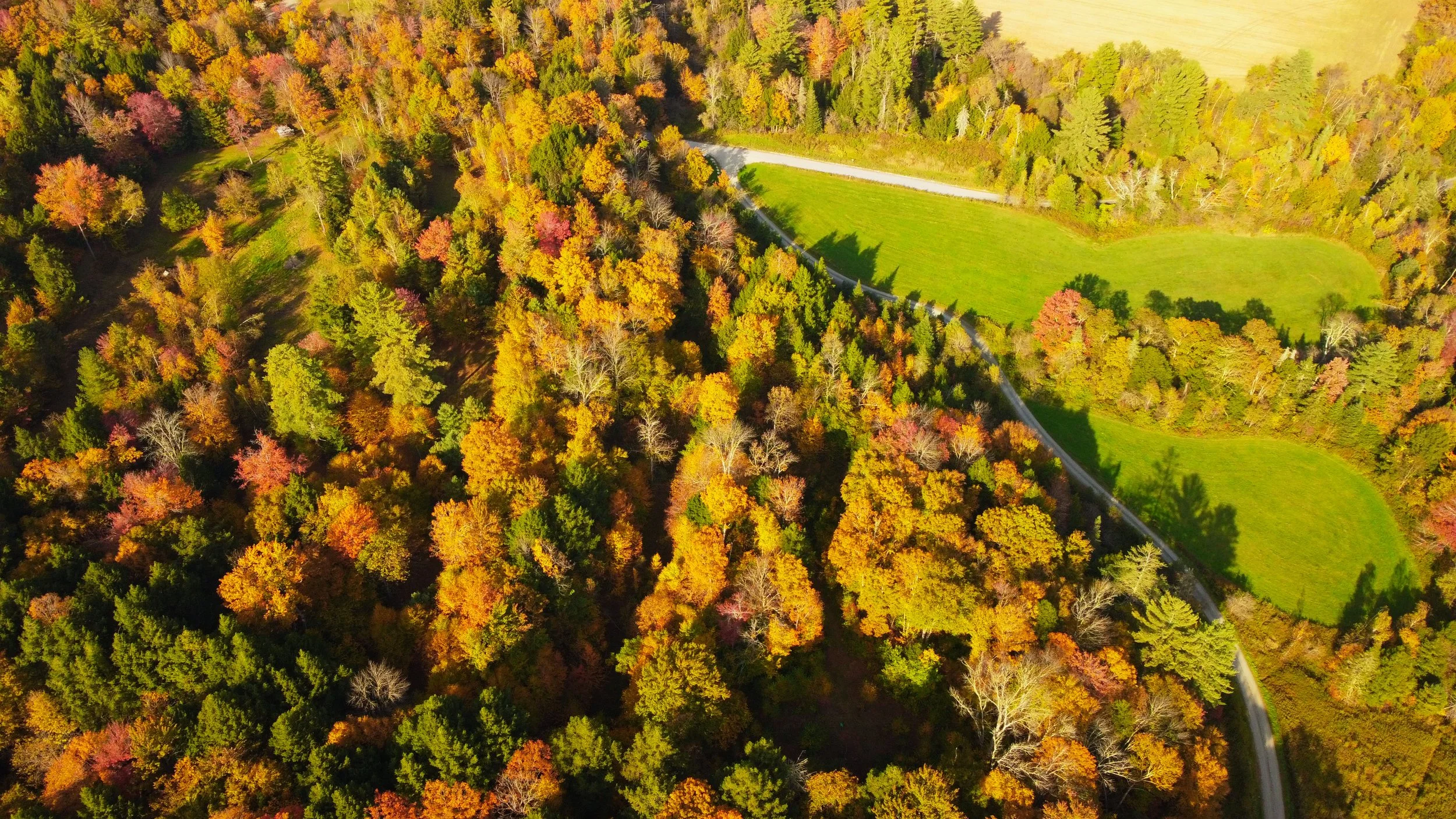 DJI_0915.jpg