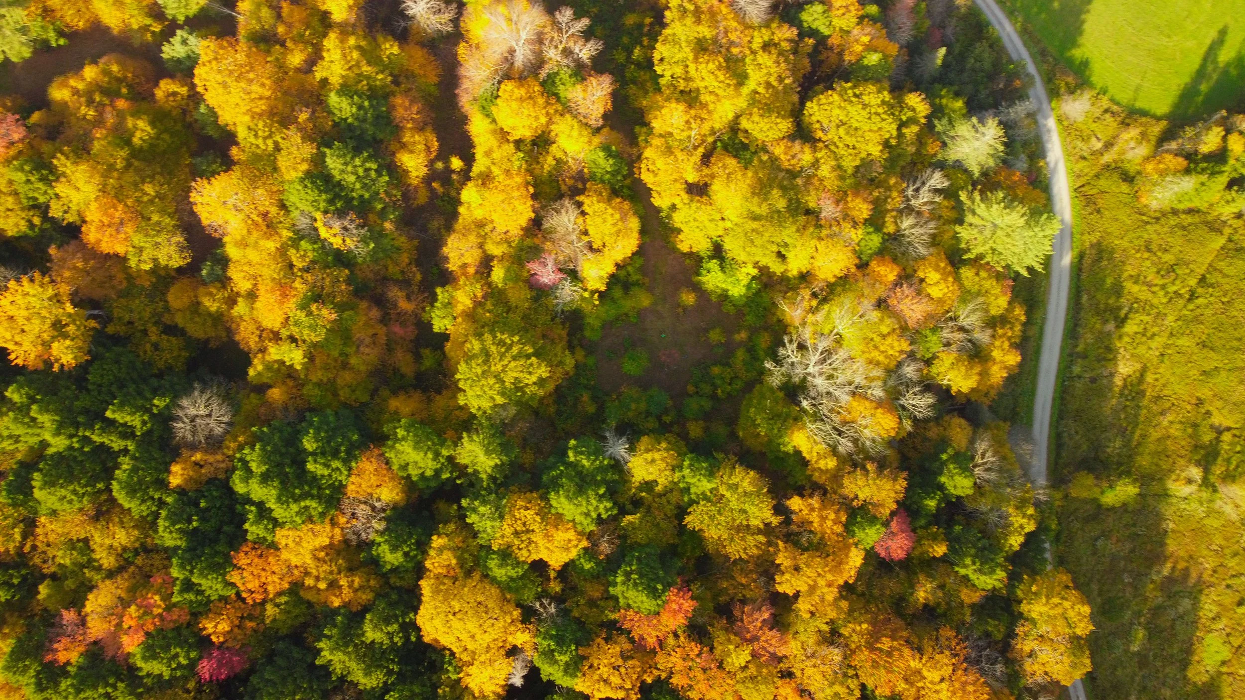 DJI_0914.jpg