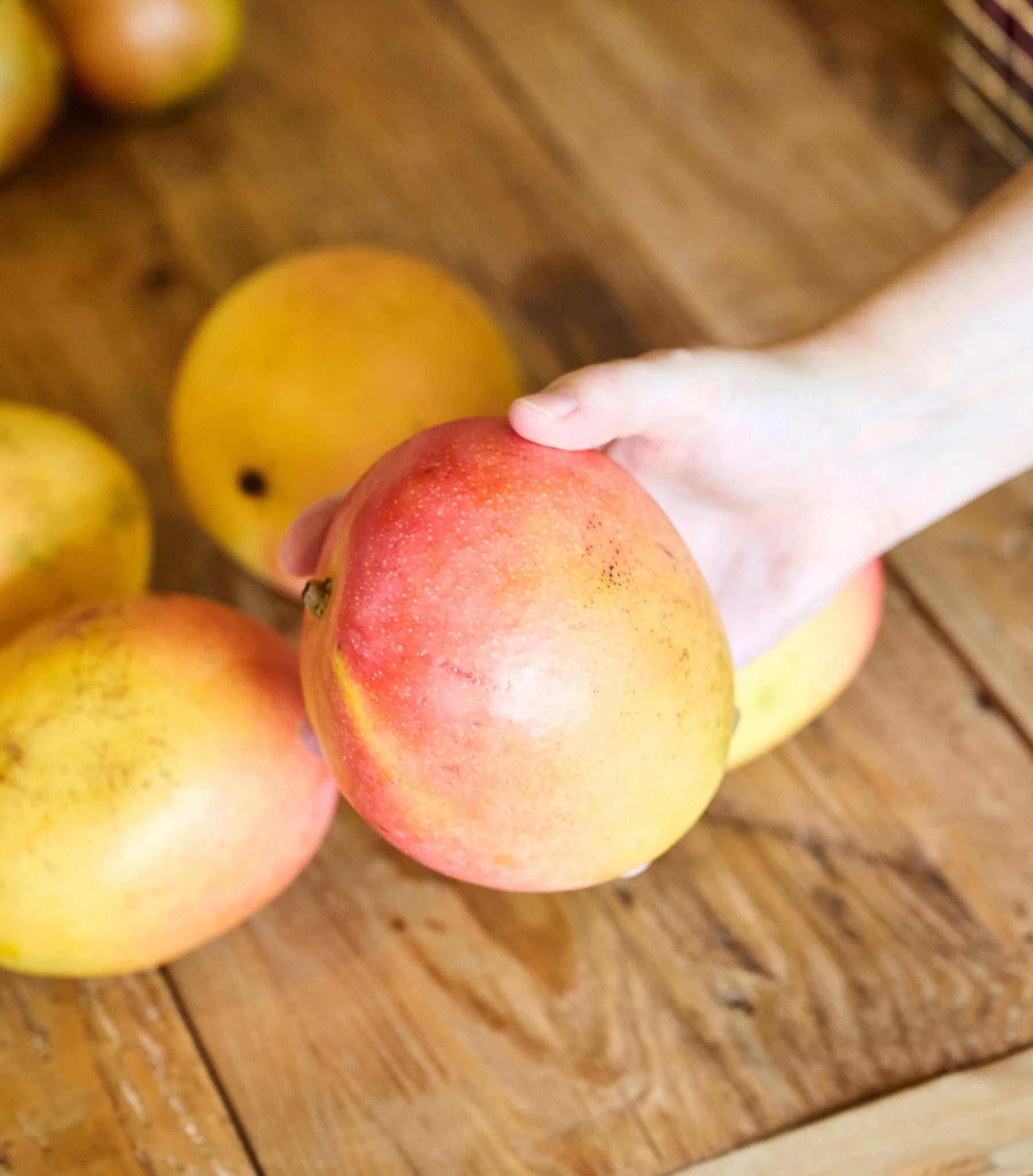 Hand holding a mango as part of a branded photoshoot for a nutritionist.