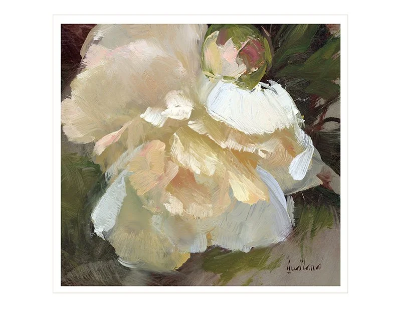 'Peony Bloom II' Card
