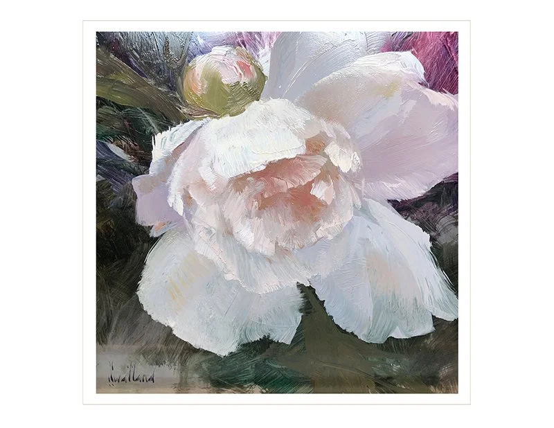 'Peony Bloom I' Card