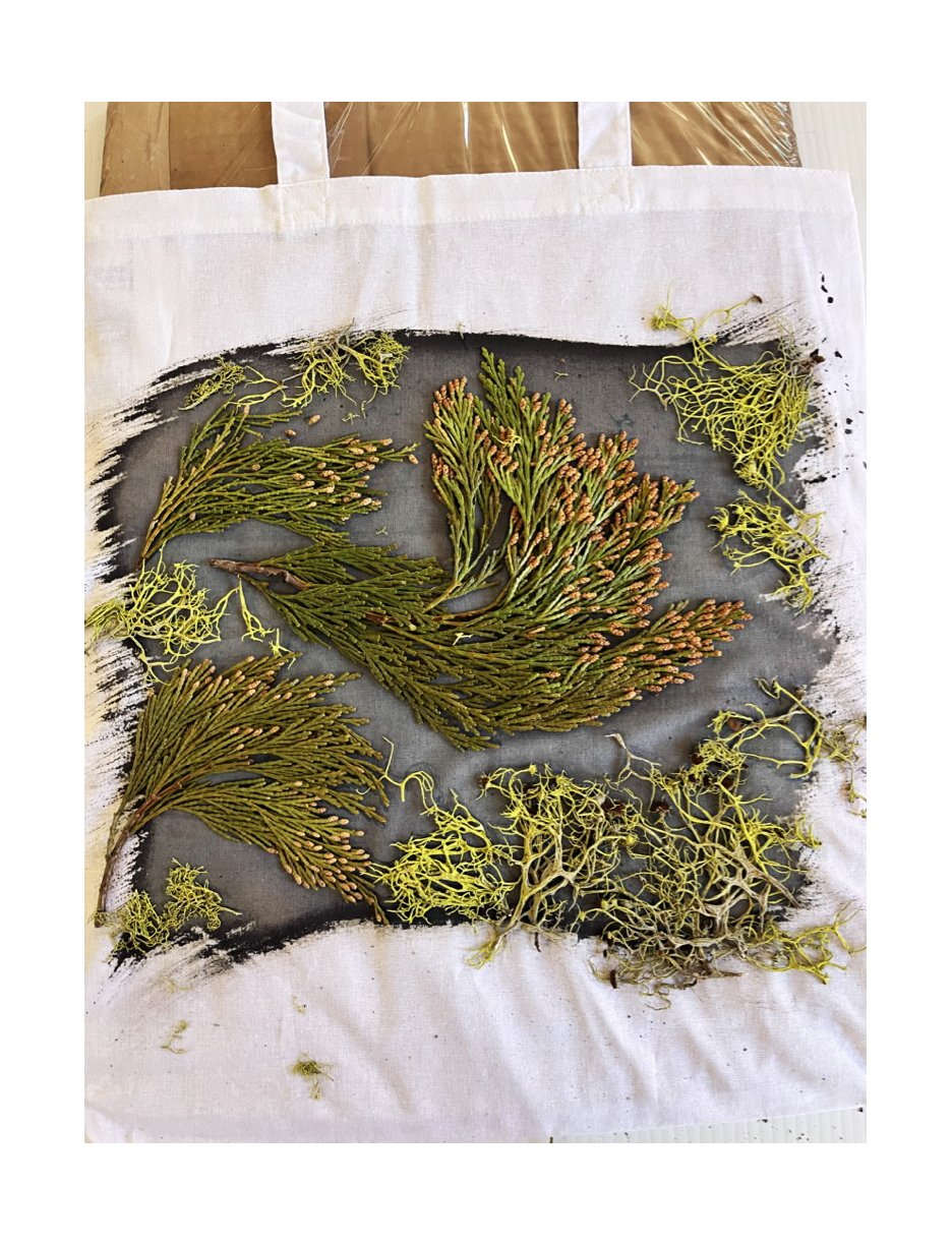 CedarTote02.jpg