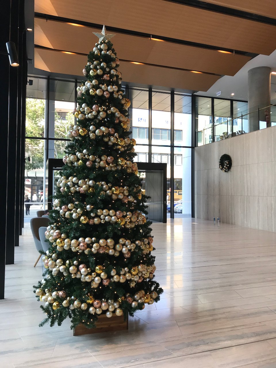 christmas treesIMG_9947.jpeg