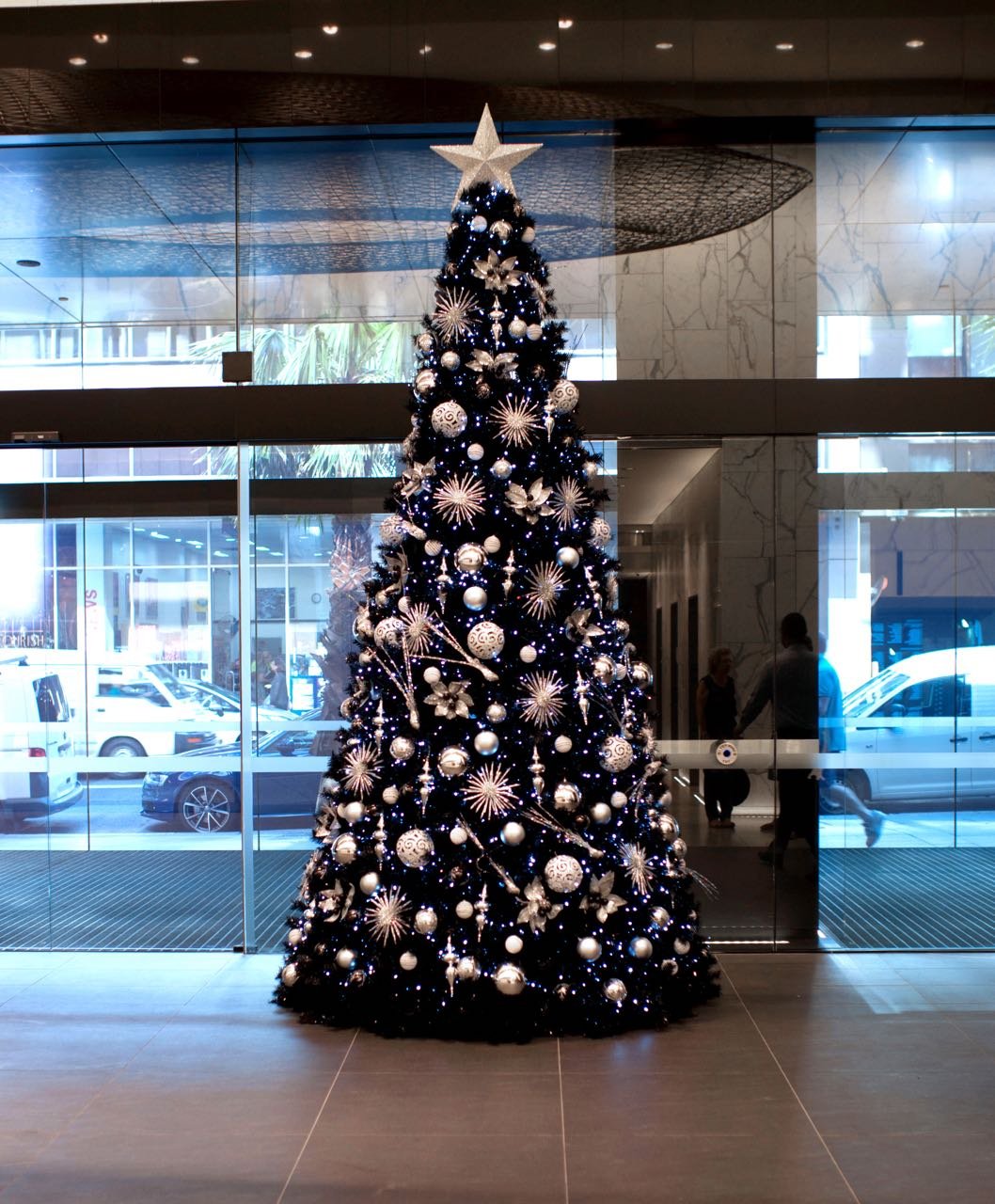 christmas trees52Martinplace_rgb4.jpg