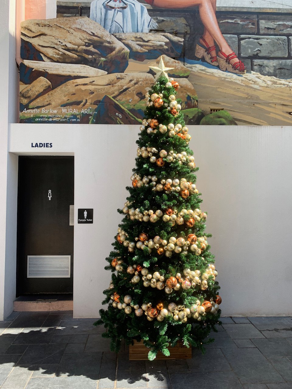 christmas treesIMG_1354.jpeg