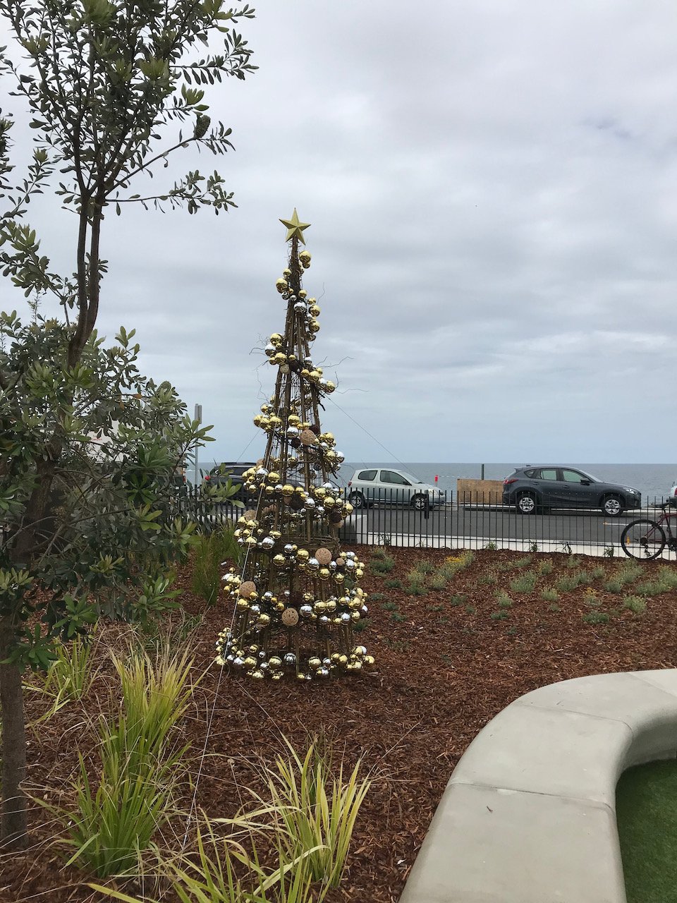 christmas treesIMG_6247.jpeg