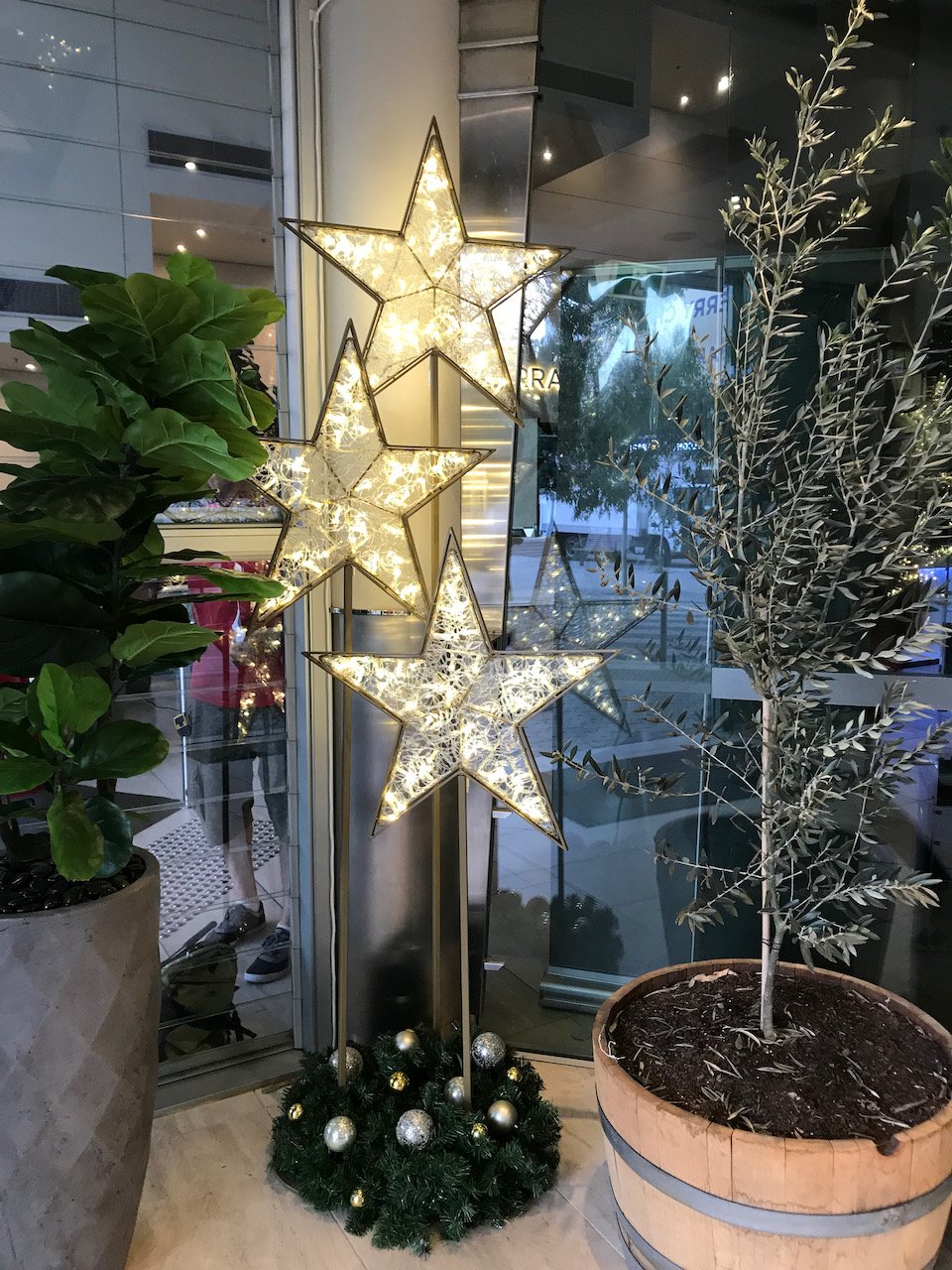 Christmas LED light decorationsIMG_6125.jpeg