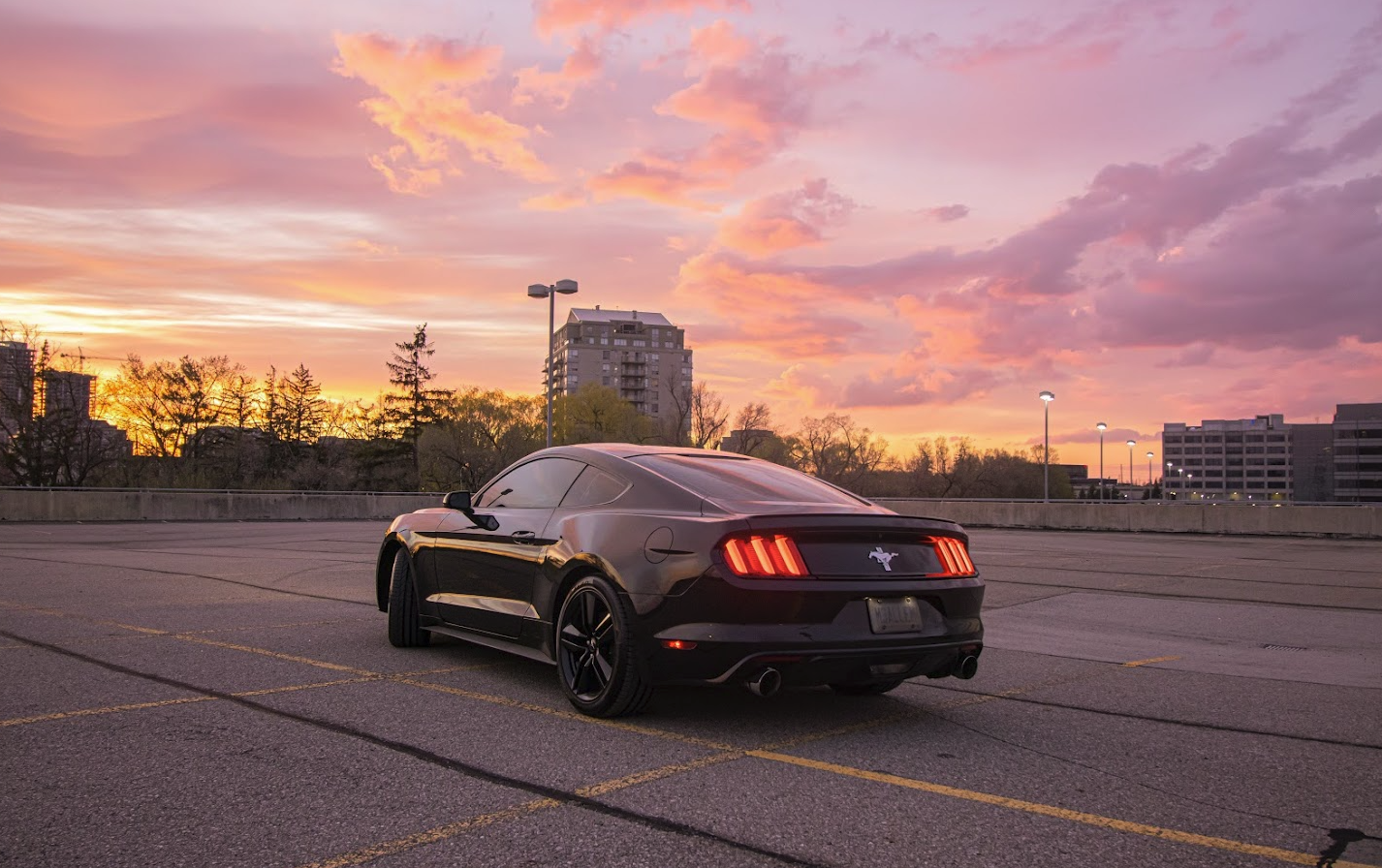 Screen Shot 2022-08-14 at 7.28.26 PM.png