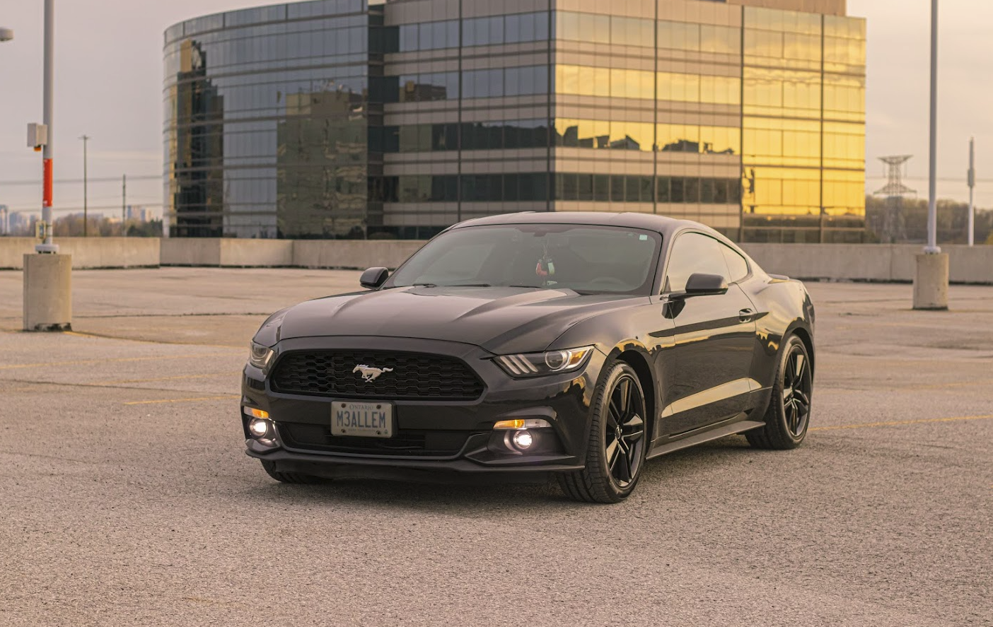 Screen Shot 2022-08-14 at 7.29.26 PM.png