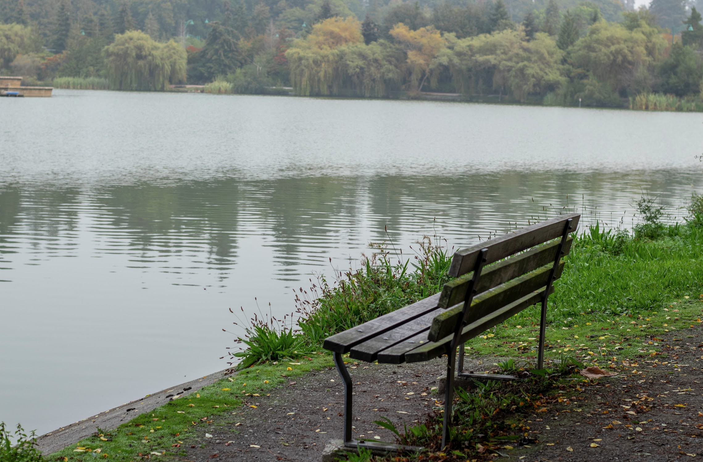 Screen Shot 2022-08-12 at 8.52.22 PM.png