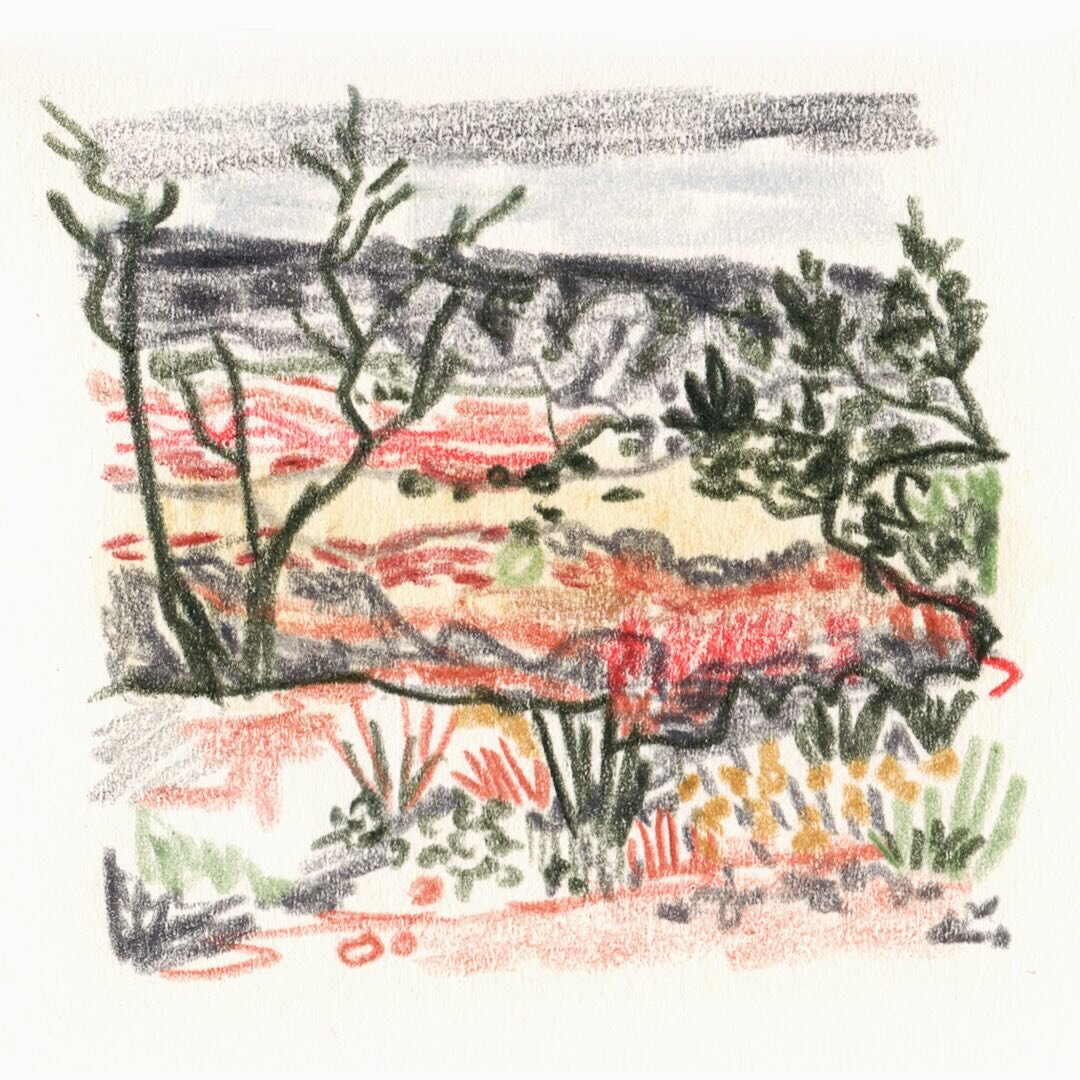 Tiny canyon drawings. 
.
.
.
#tinyart #landscapepainting #smalldrawing #bigcanyon #paloduro #sketchbook #traveler #traveldrawing #coloredpencildrawing #dailypractice #contemporaryart #drawing #womenartists #fortworthartist #artforthesoul