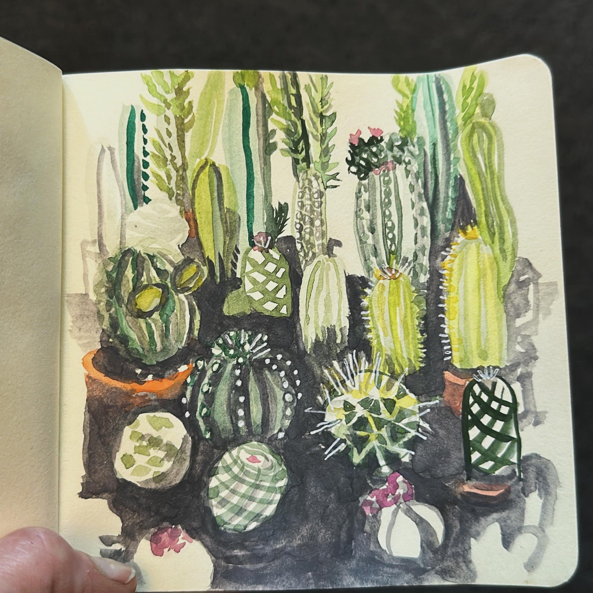 Midnight cactus 
.
.
.
#sketchbook #watercolorsketch #artforyourhome #workingartist #cactuscollection #cactuslover
