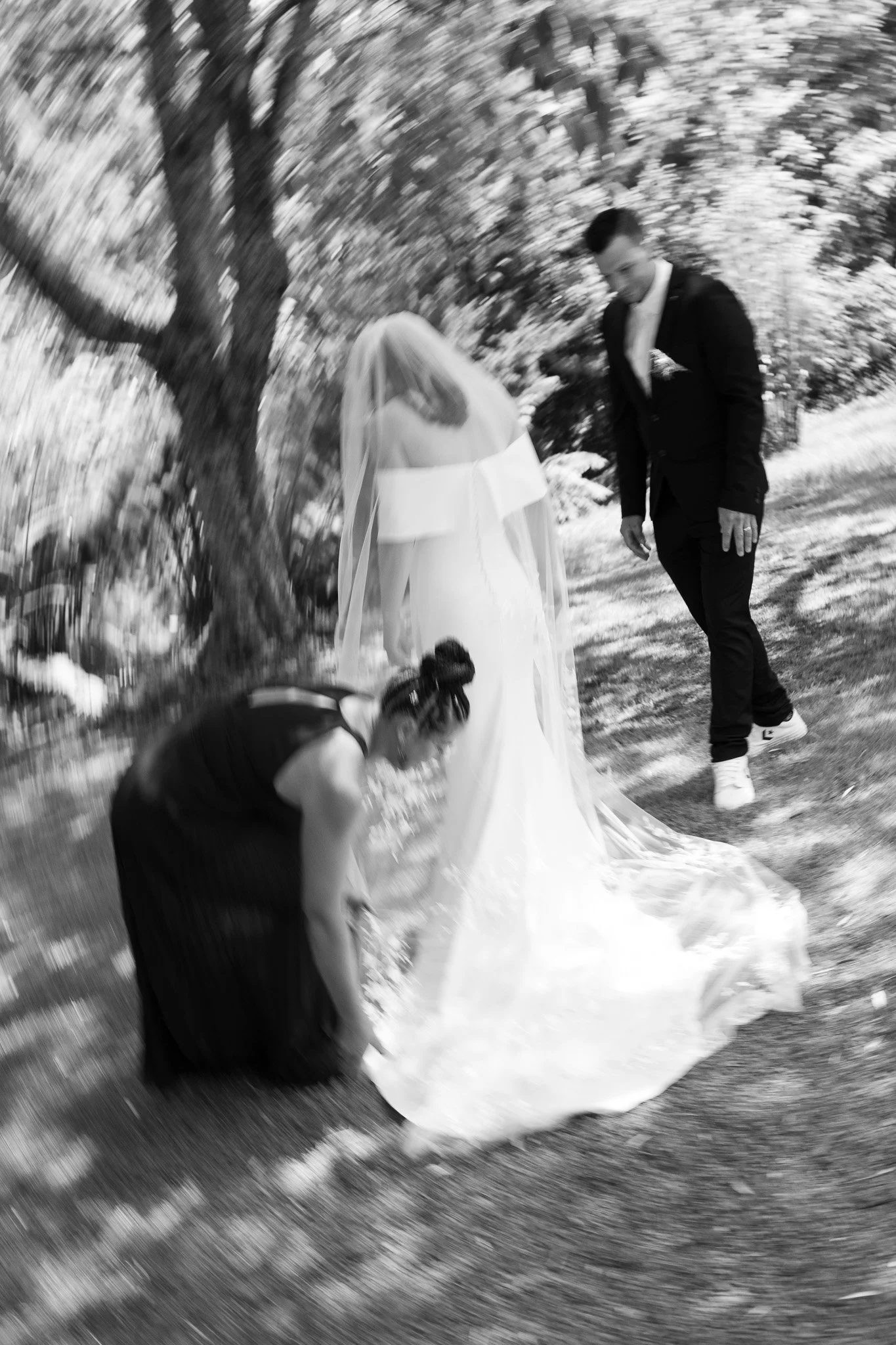 taurangaweddingphotographer0P2A7806.jpg