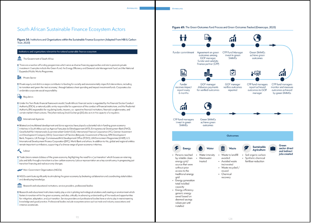 Layout page sample designs for the World Bank Group's "30 by 30 zero" initiative.