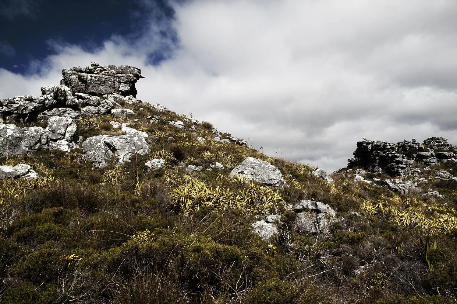A rocky hillside with large boulders and sparse vegetation under a cloudy sky.