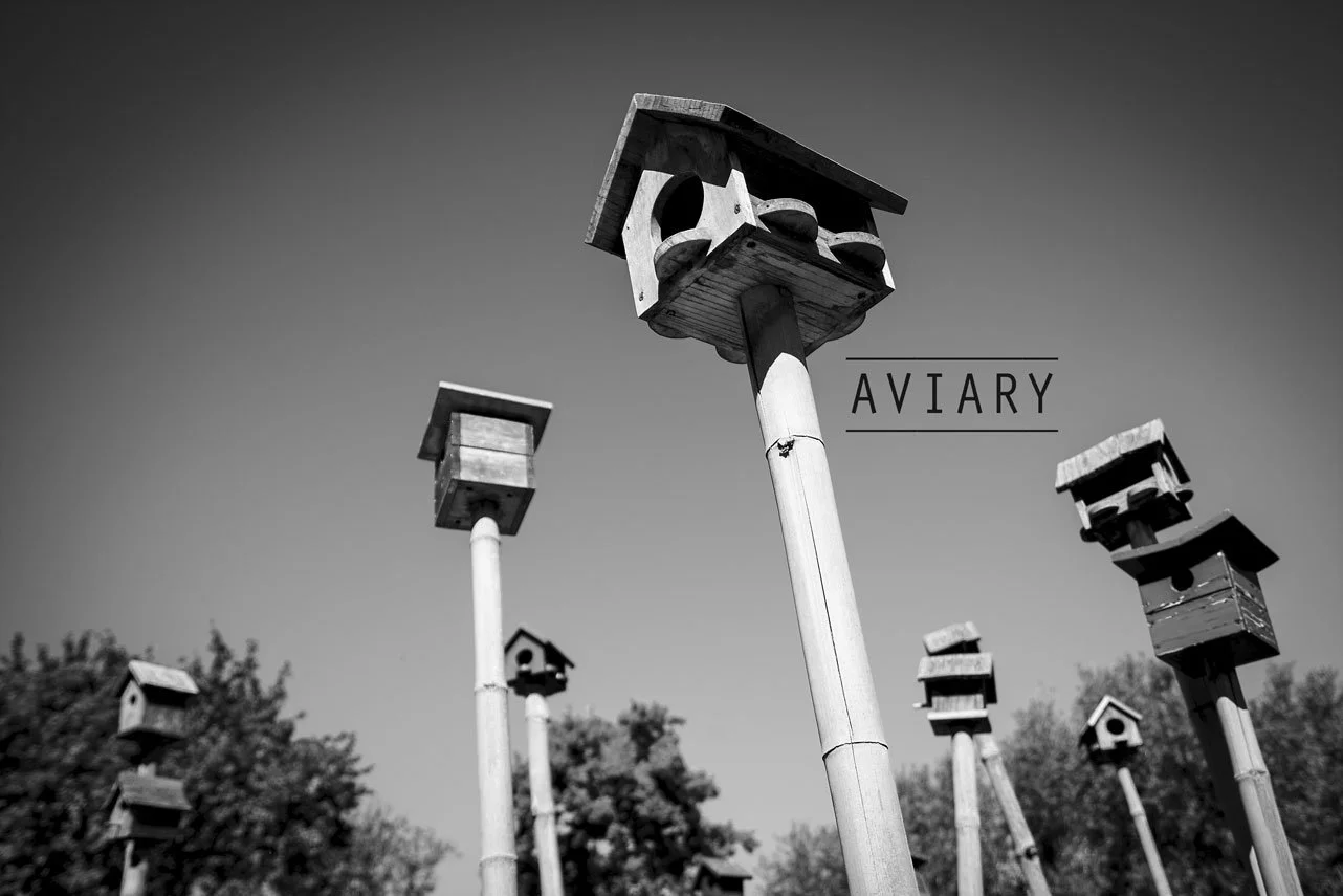 Several wooden birdhouses mounted on long white poles outdoors, with trees in the background, under a clear sky.