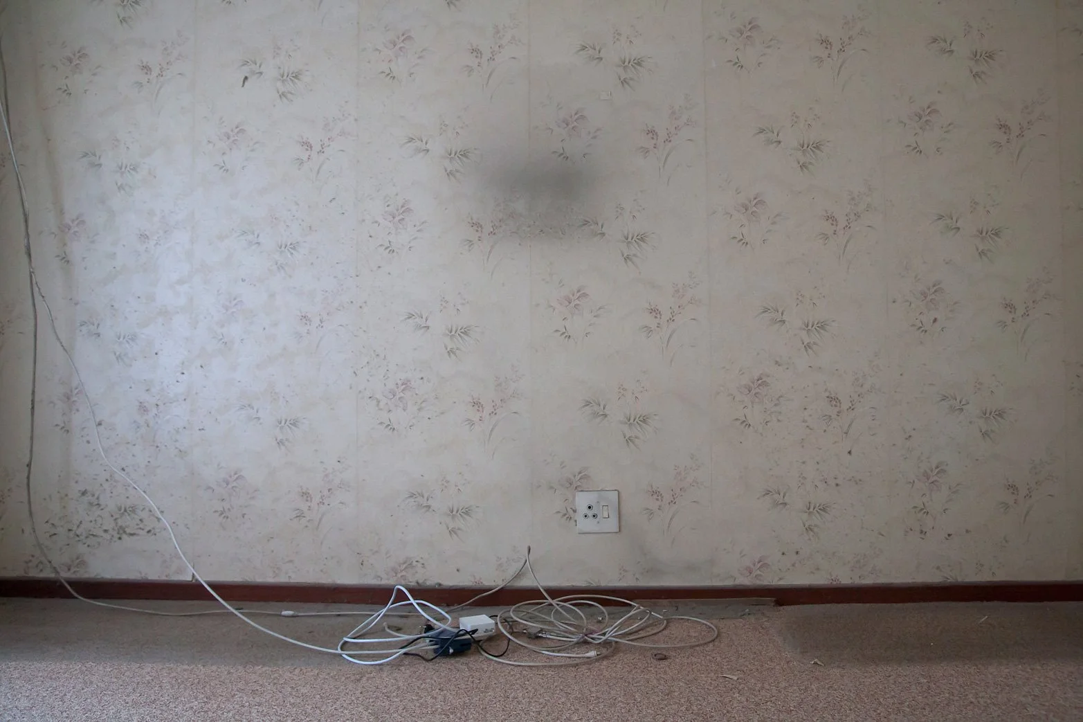 Empty room with floral wallpaper, electrical outlet, and tangled cords on the beige carpet floor.