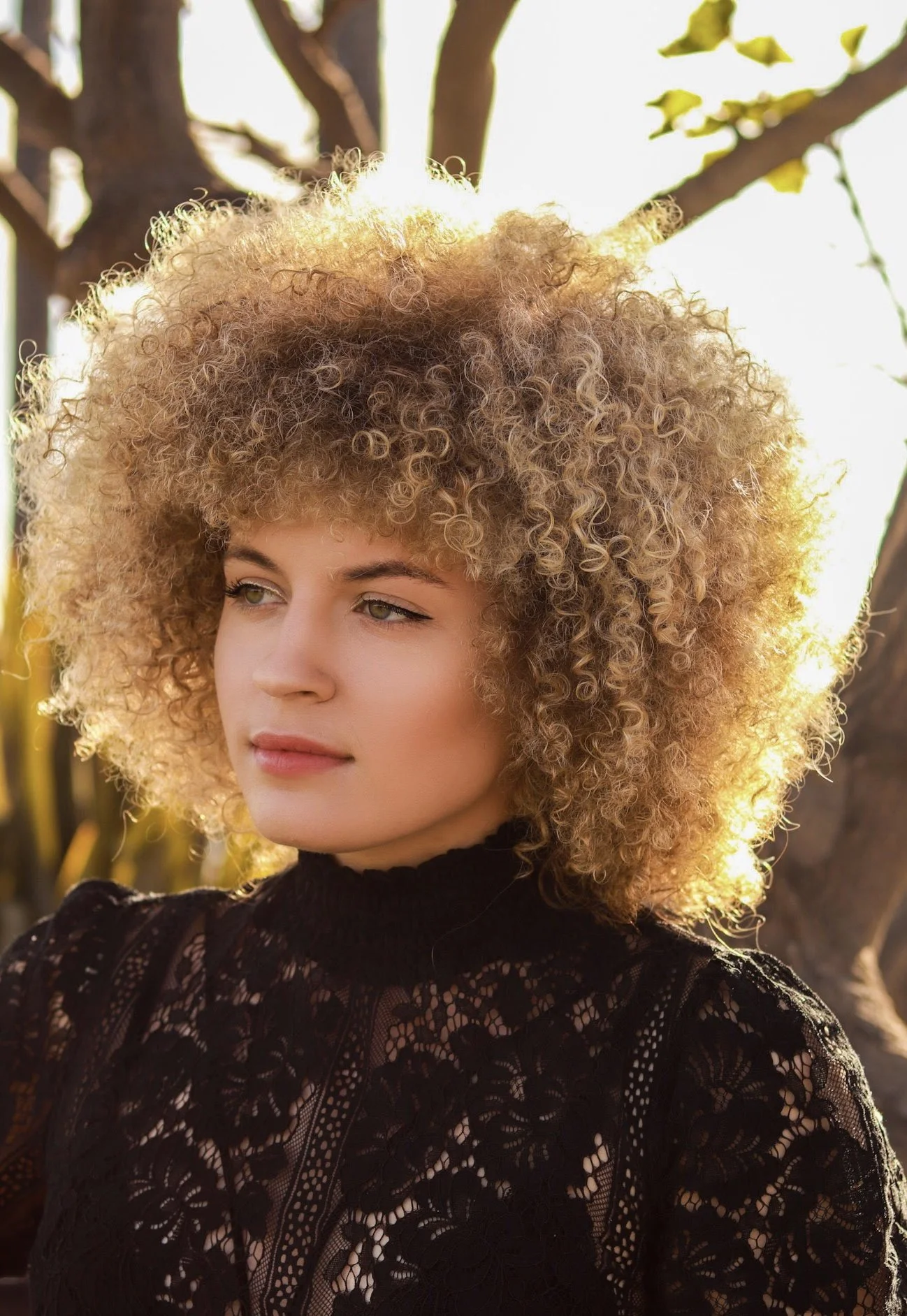 Top Tira x Haylo, 2020