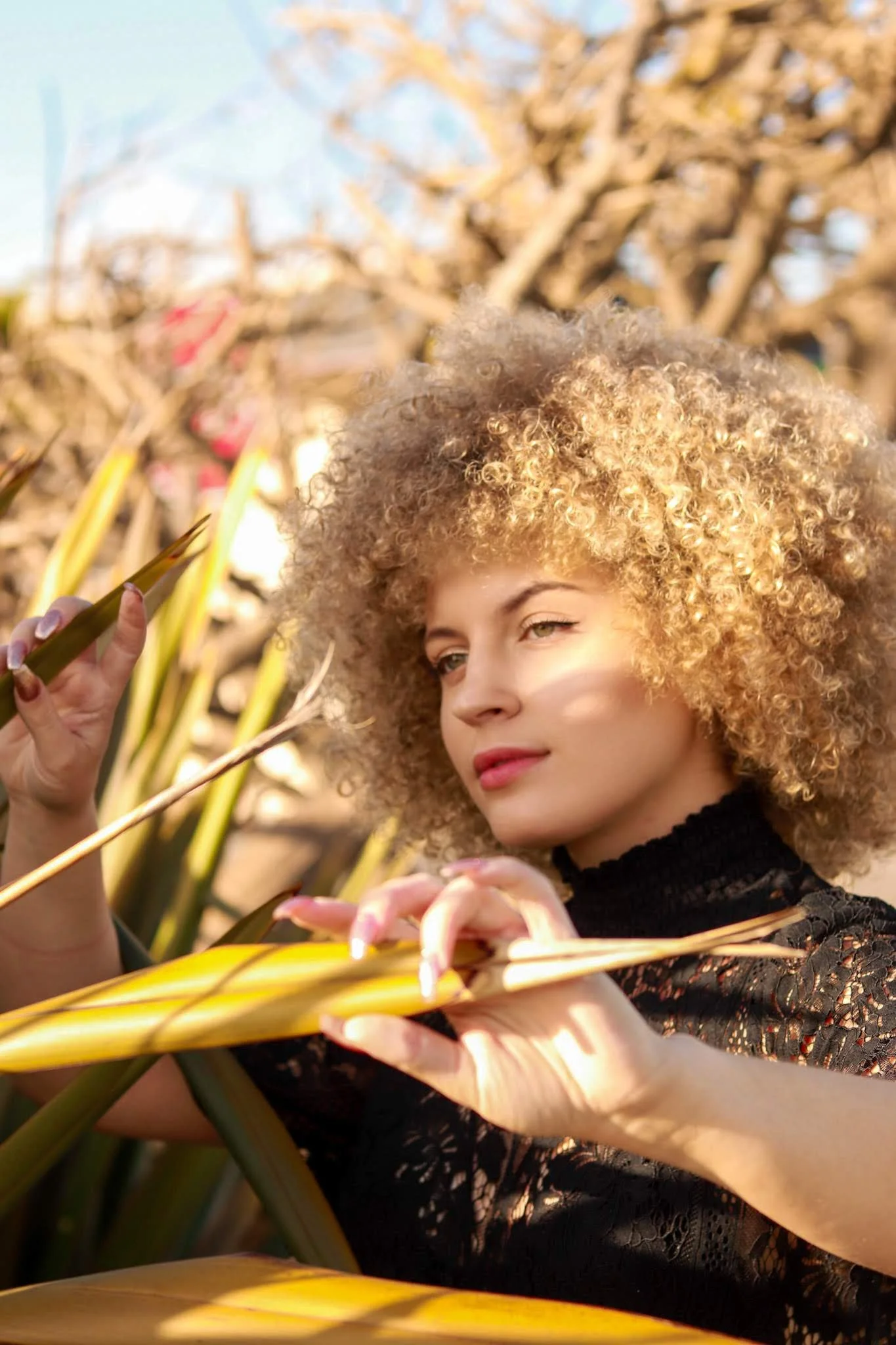 Top Tira x Haylo, 2020