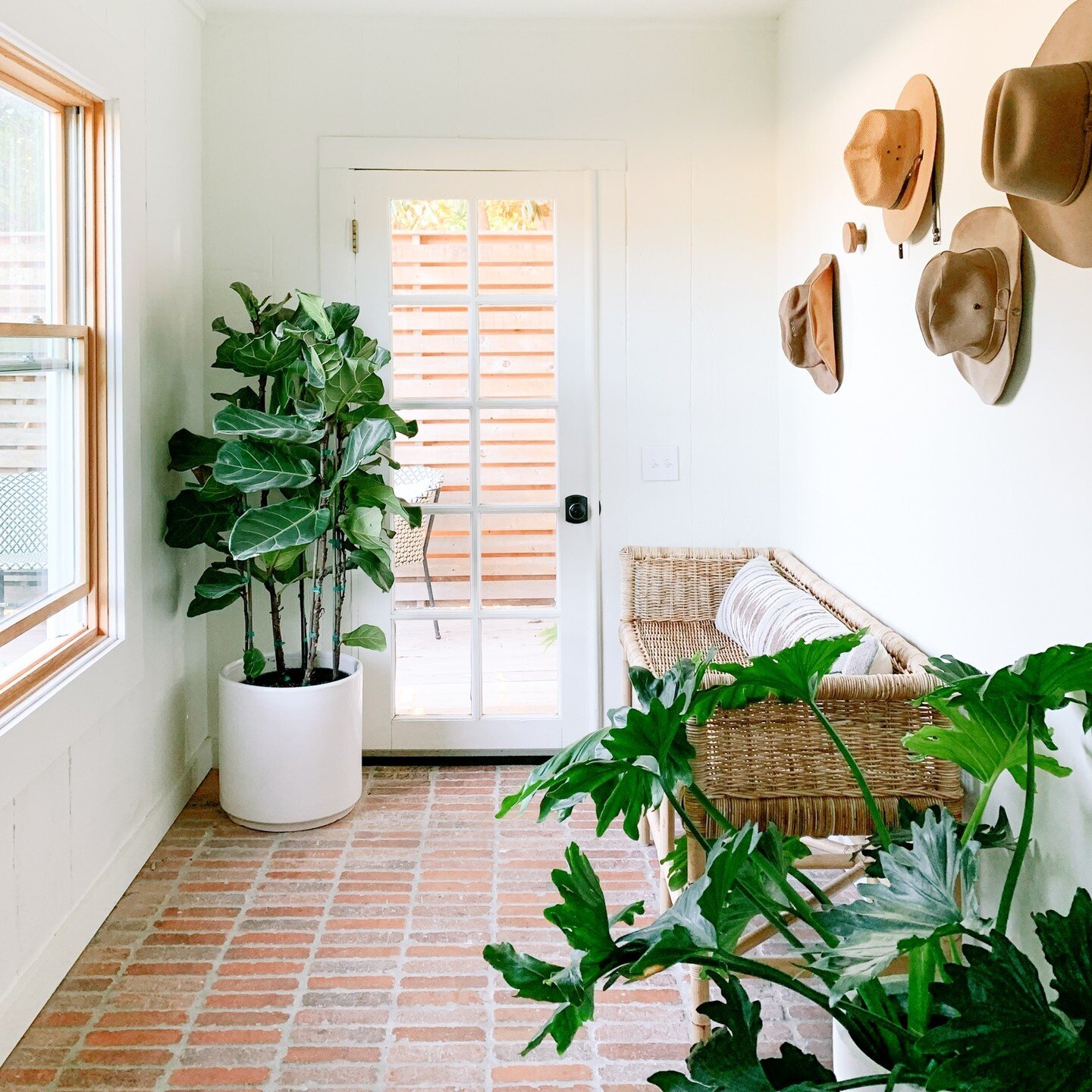 Aren't these indoor plants amazing?? And please 👀these brick floors!  Following up on yesterday's post where I talked about cut flowers and small or faux plants.  If you want to go bigger - and I would certainly encourage you to! - there are so many