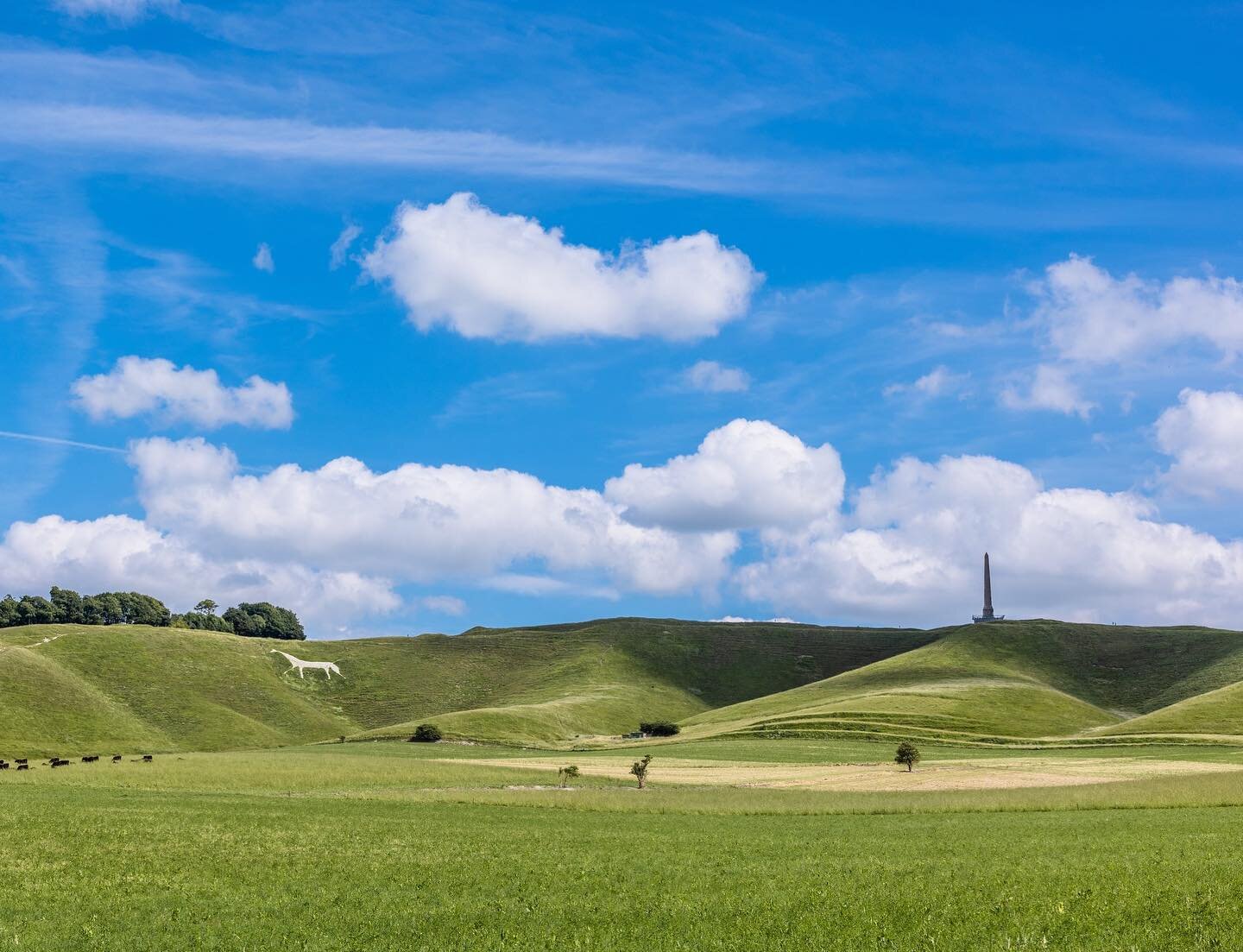 💚 Cherhill Downs 💙

We are very lucky to have such beautiful downland right on our doorstep. 

The Cherhill White Horse &amp; Landsdown Monument have been looking particularly beautiful in the glorious weather recently!
.
.
.
.
.
#cherhill#cherhill