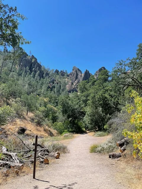 Pinnacles
