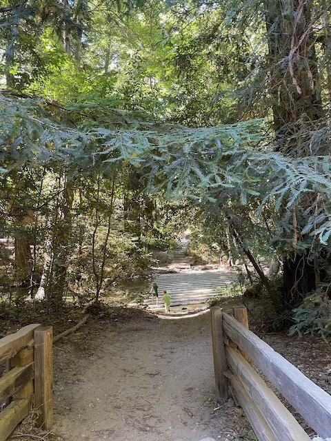 Pfeiffer Park