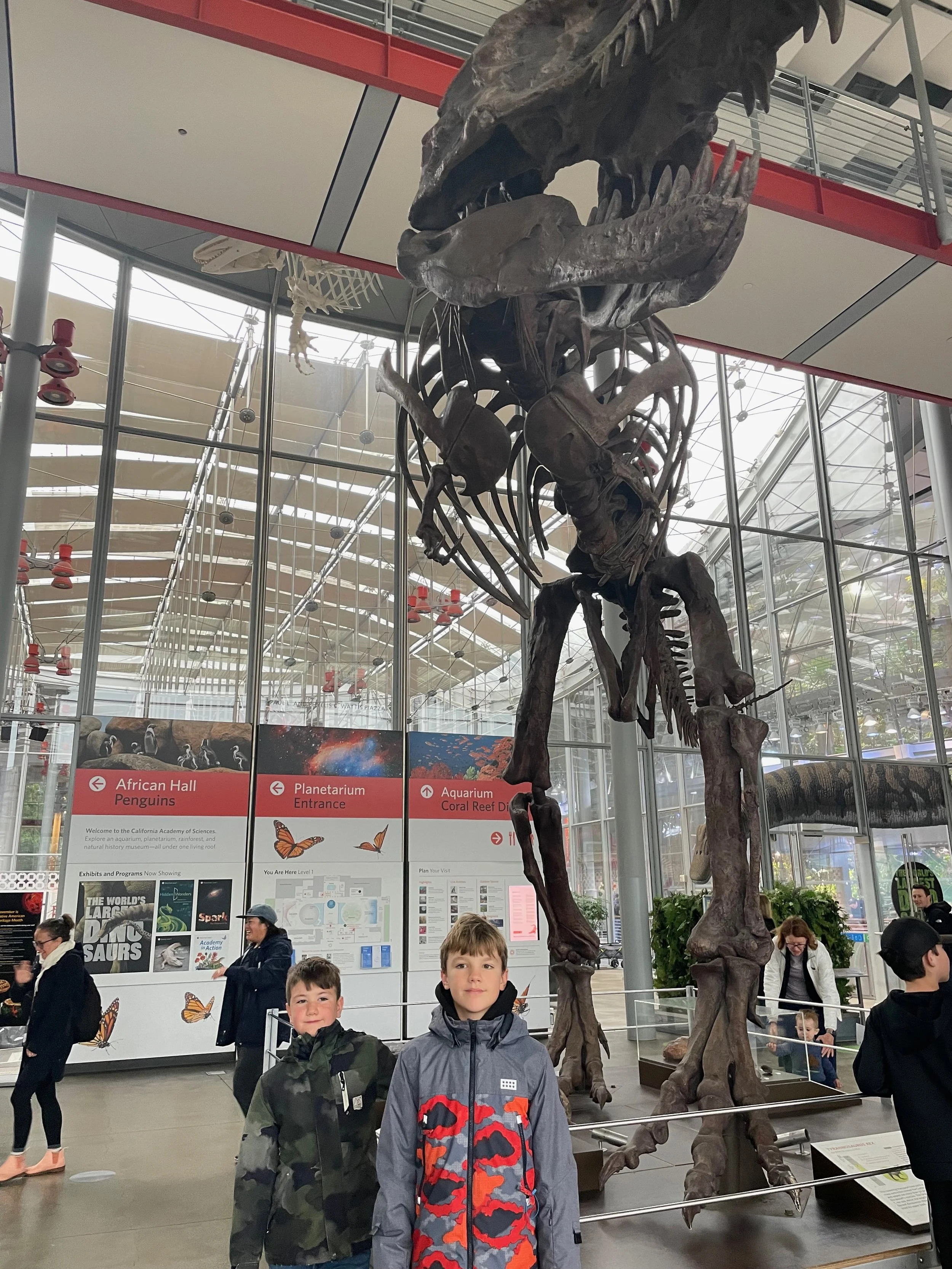 IMG_6808.jpeg