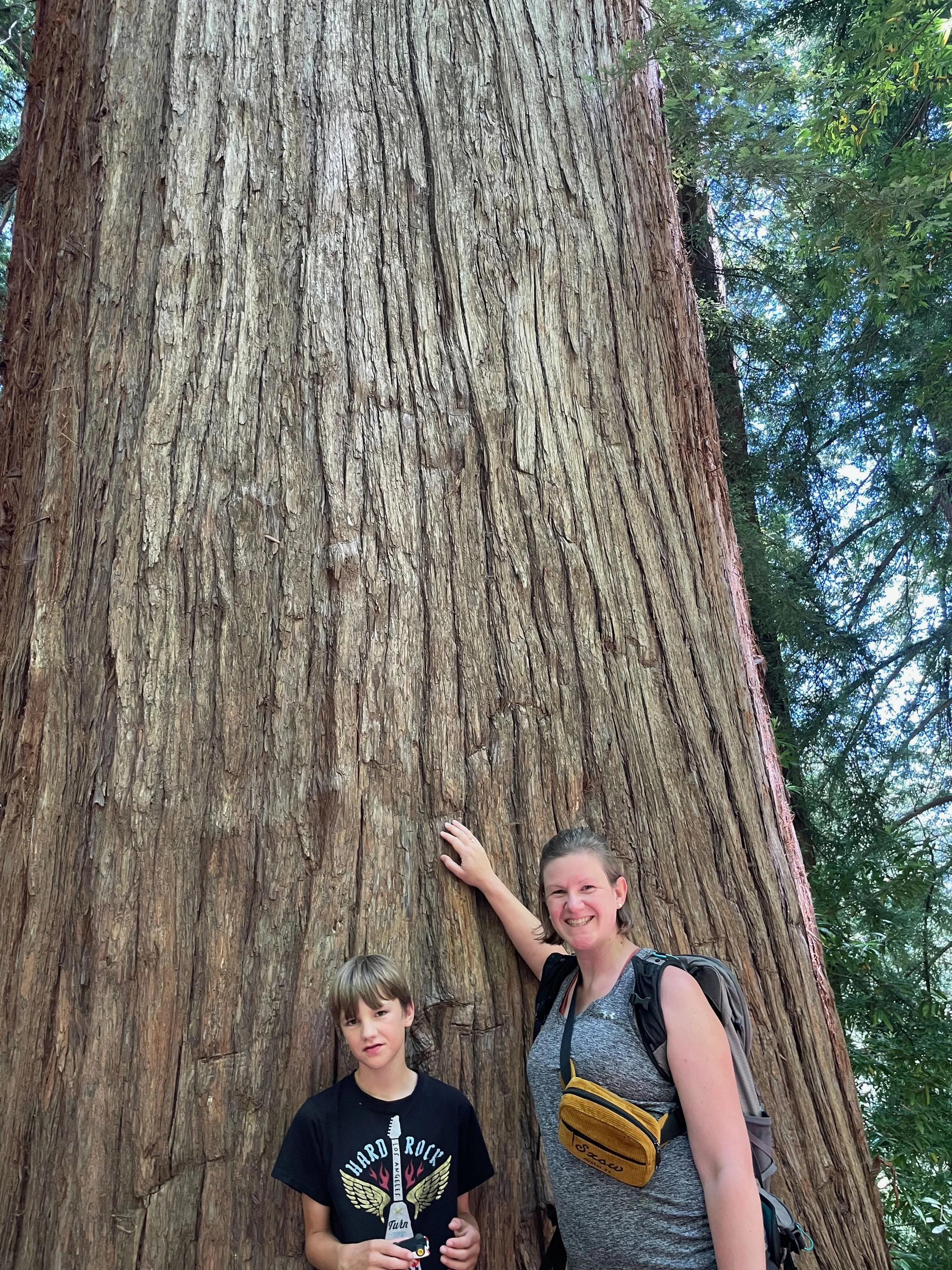 Redwood Wanderung