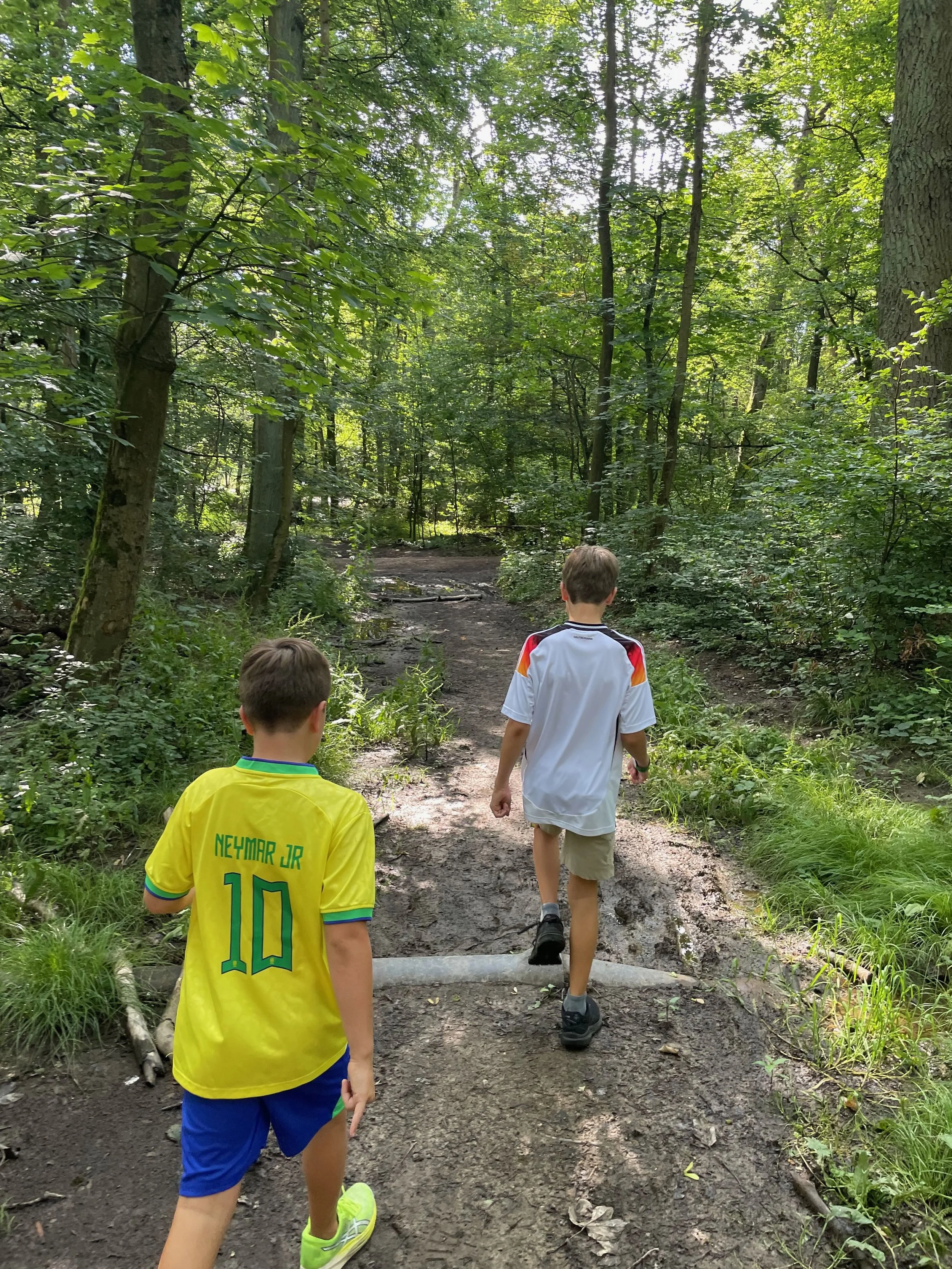 Taunus