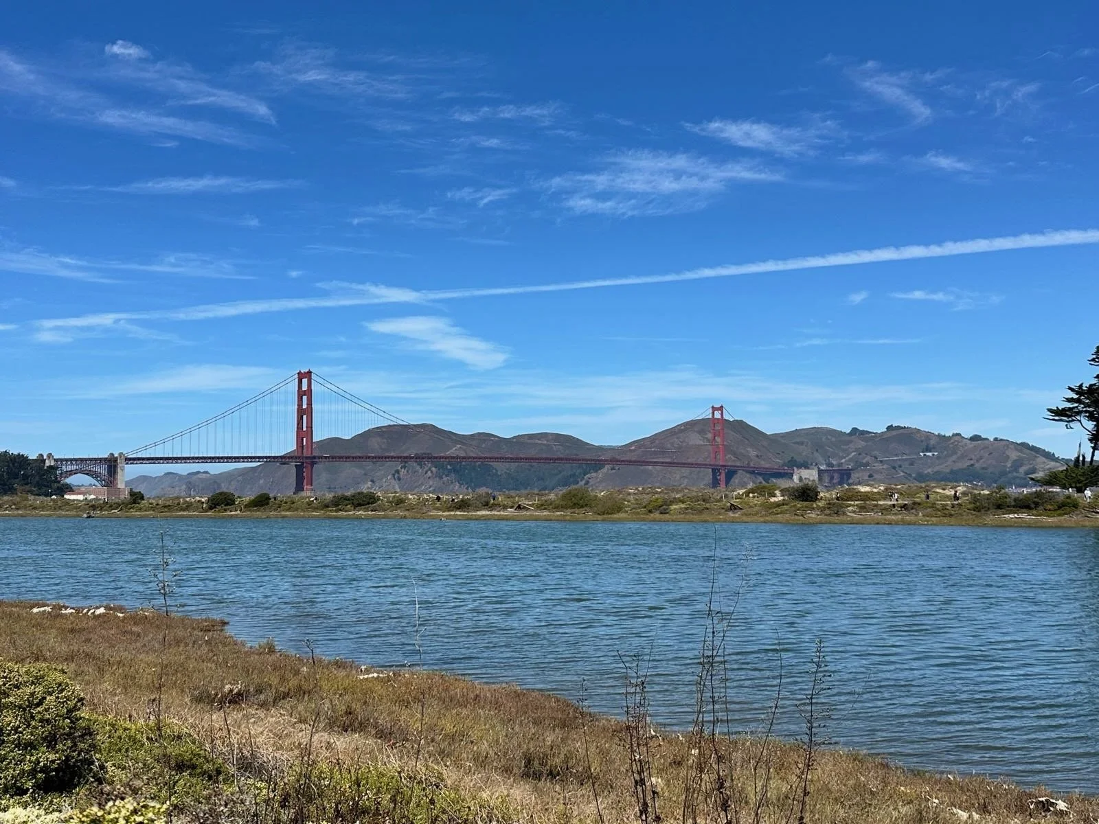 471e05dc-41b3-4ee8-a510-d417f811f130.jpeg