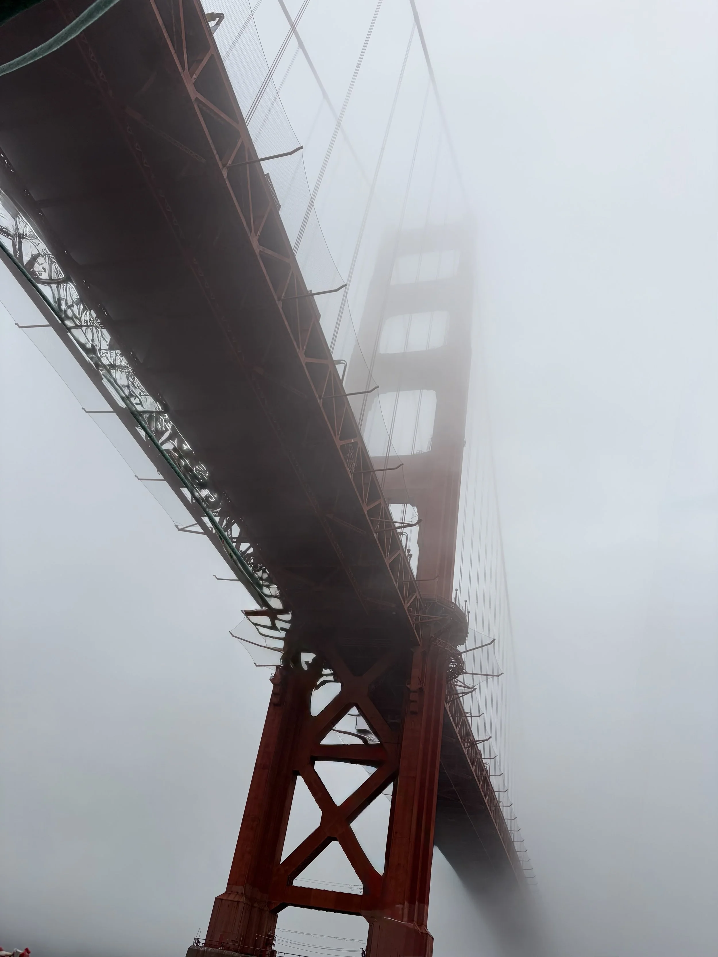 IMG_0536.jpeg