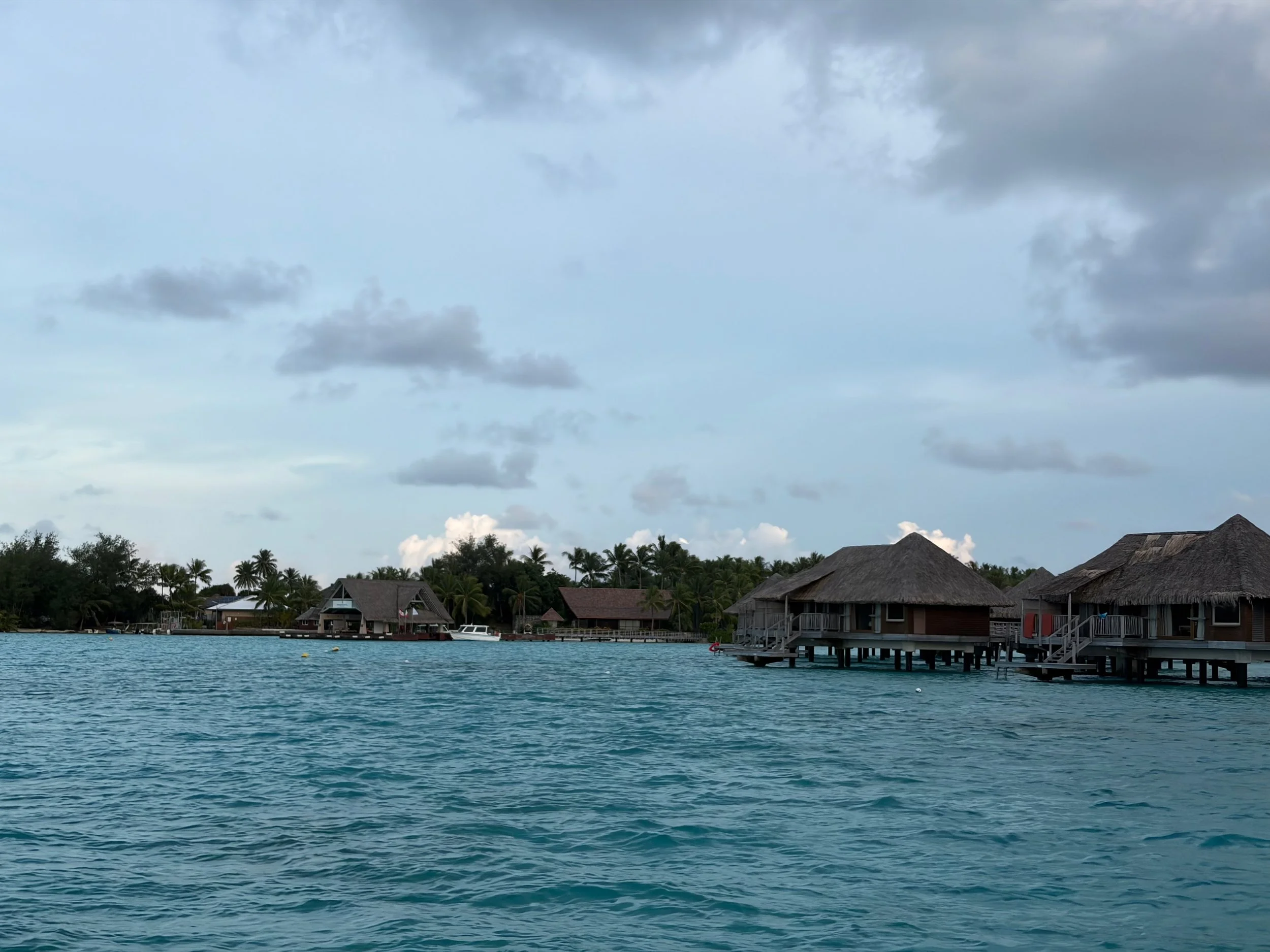 IMG_8749.jpeg