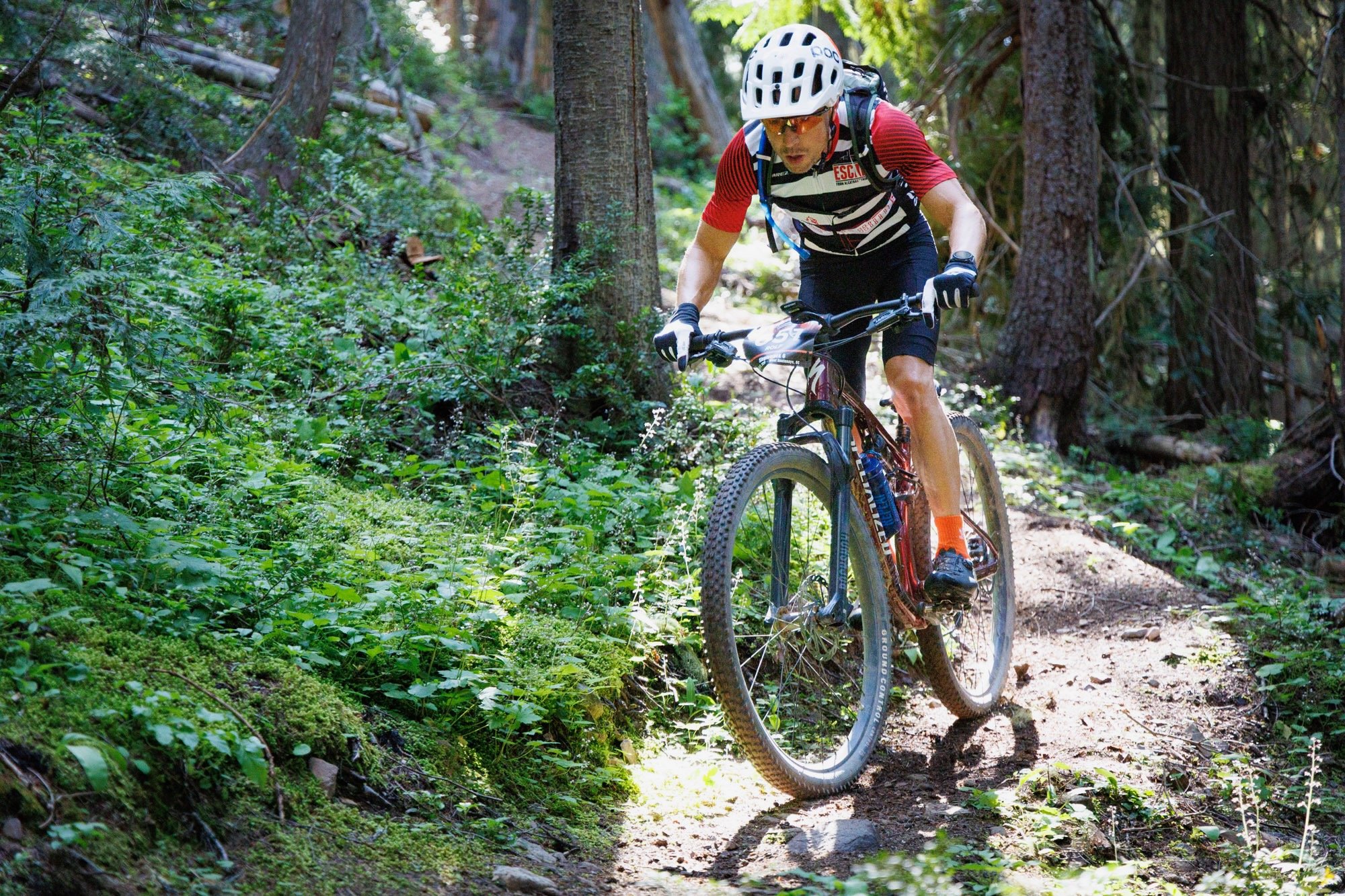 2025 TransRockies Singletrack 6 - Stage 2 - New Denver, BC, Canada.jpeg