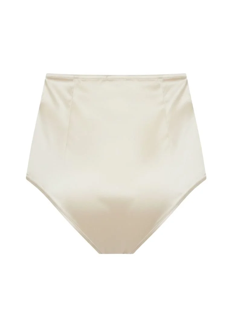 Bella High waisted briefs back.jpg