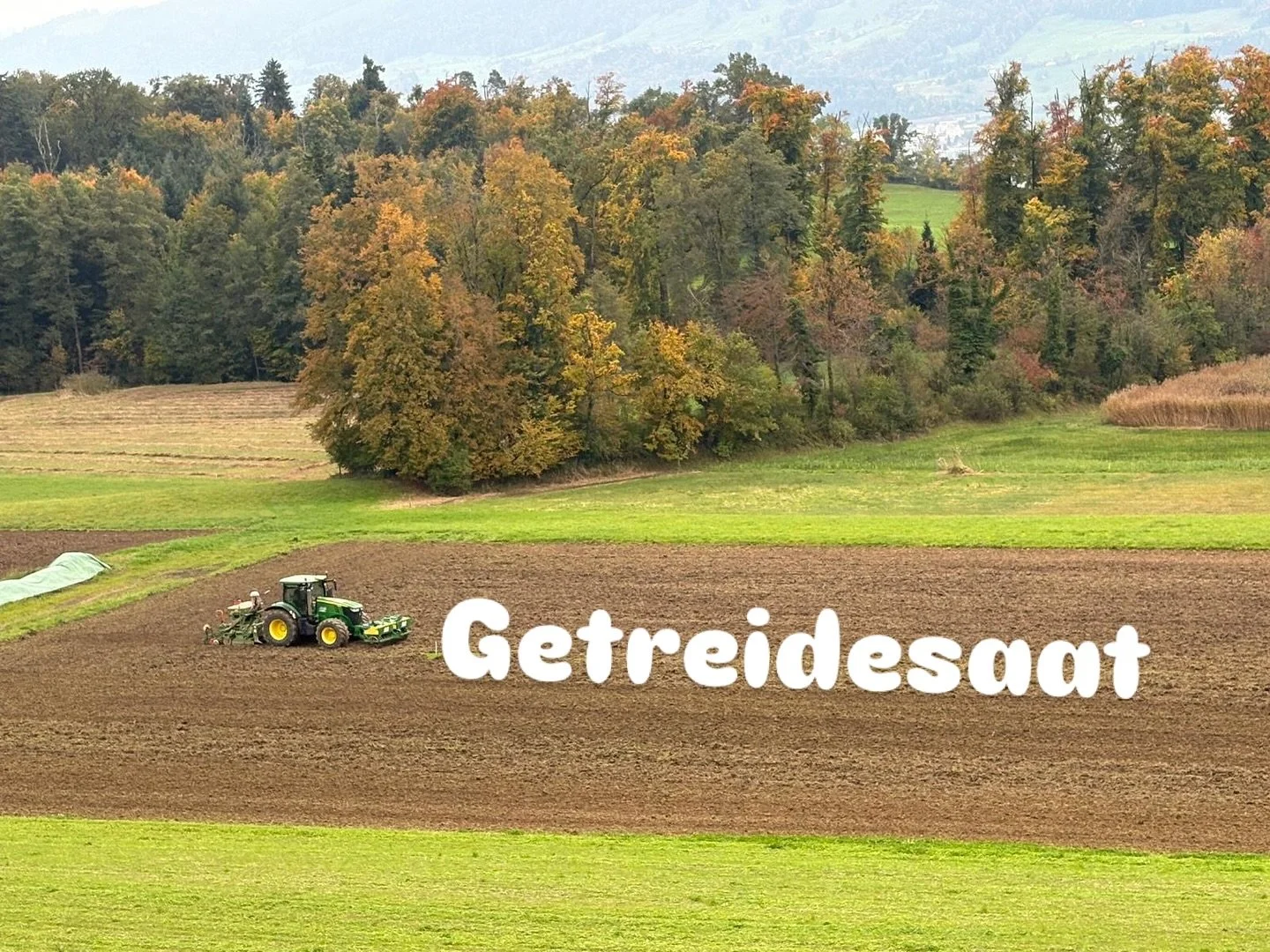 Optimale Bedingungen für die Getreidesaat. Danke an das Wetter und @rueegseggerag 🙏😅
#getreidesaat #getreide #urdinkel #dinkel #weizen #hafer #biosuisse #demeter #biohofaegerten