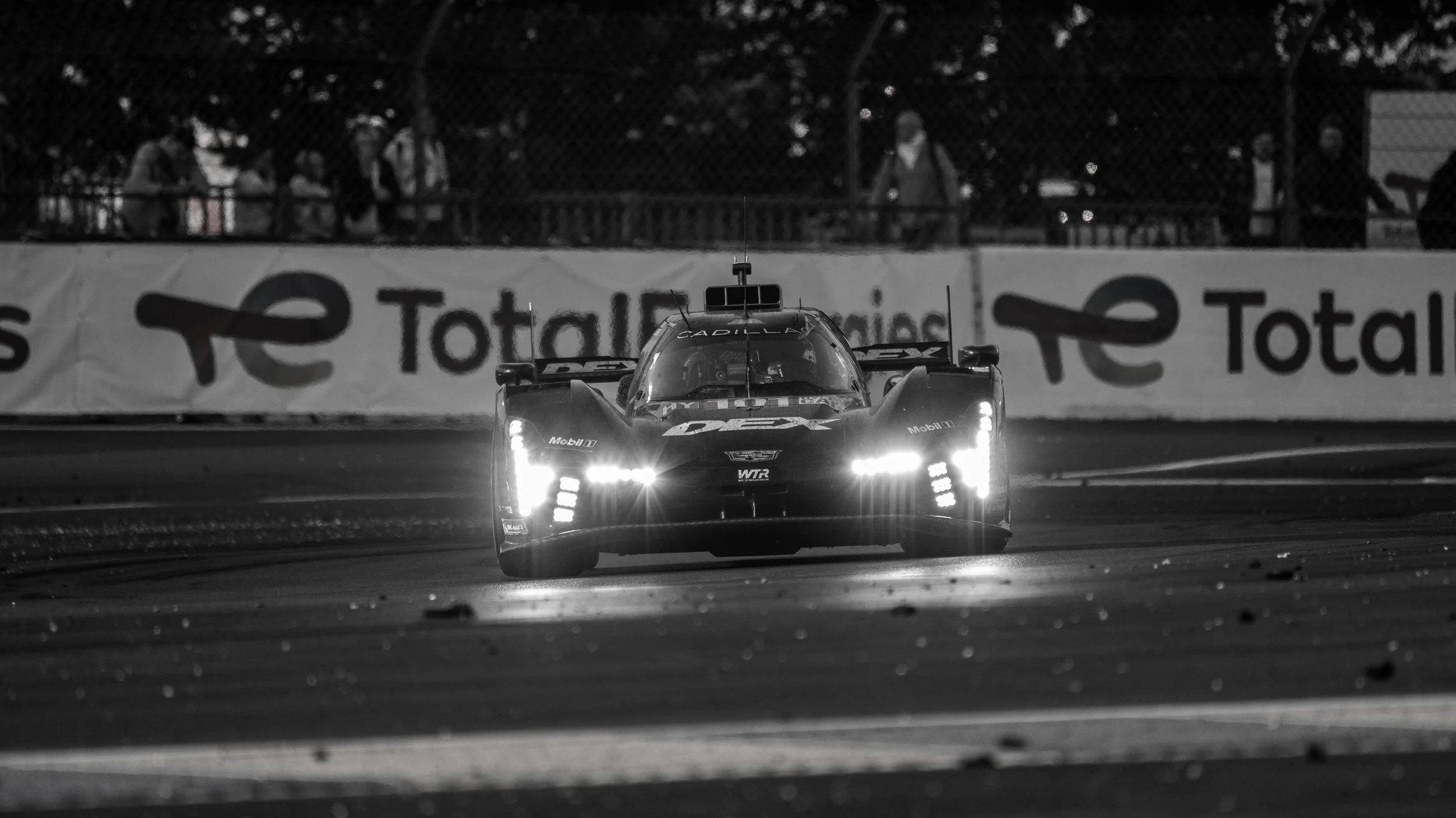 DSC08124-2.jpg