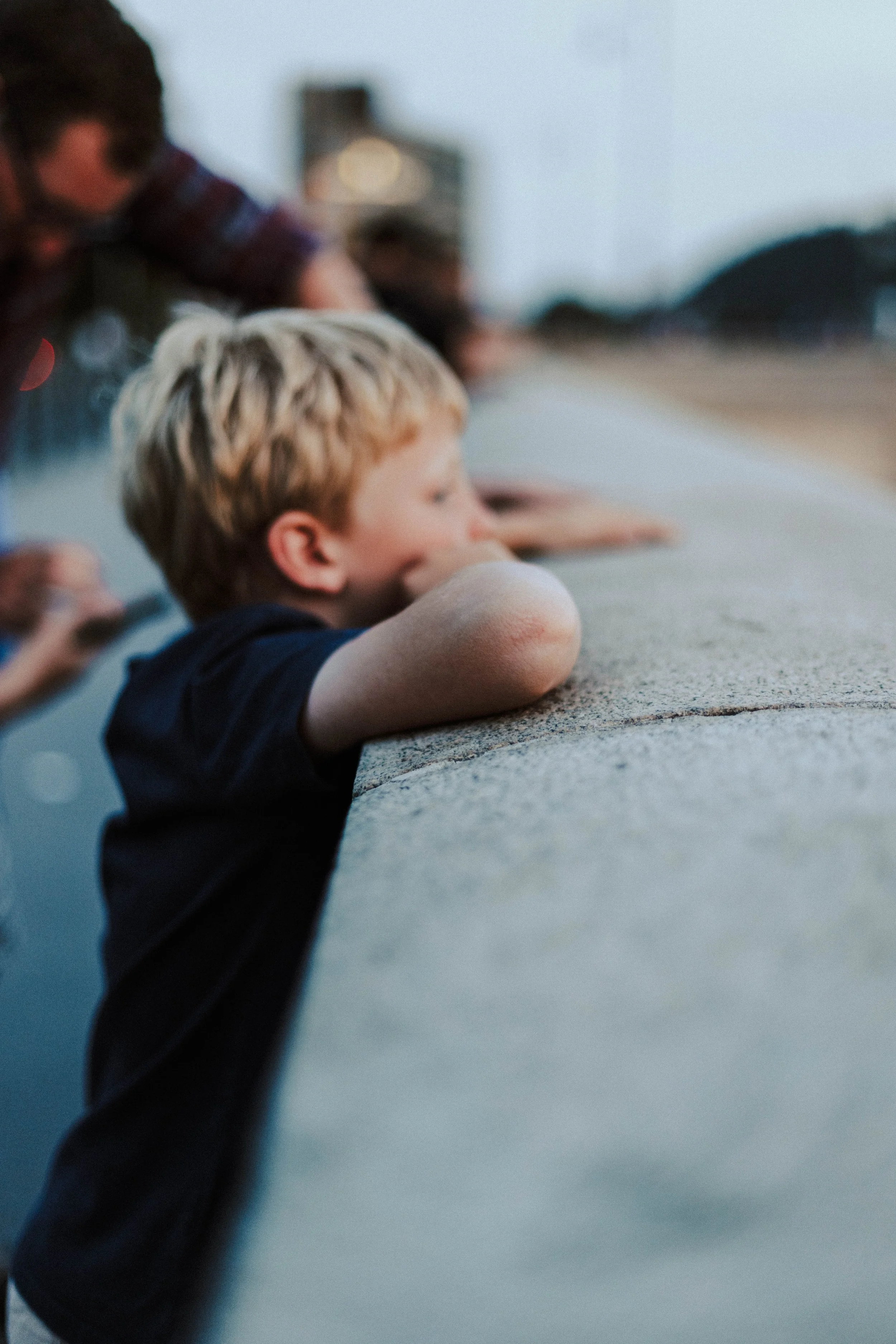 York family photographer 