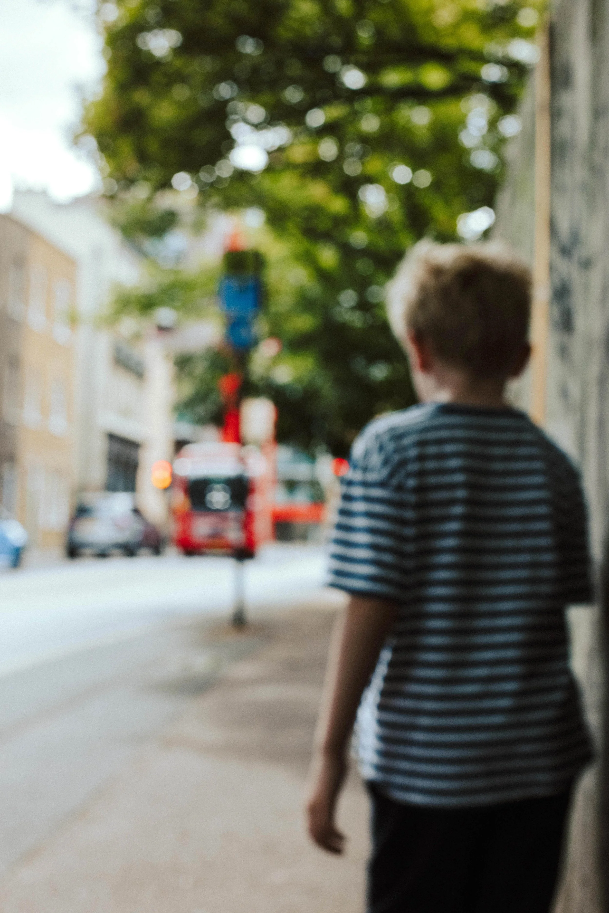 York family photographer 
