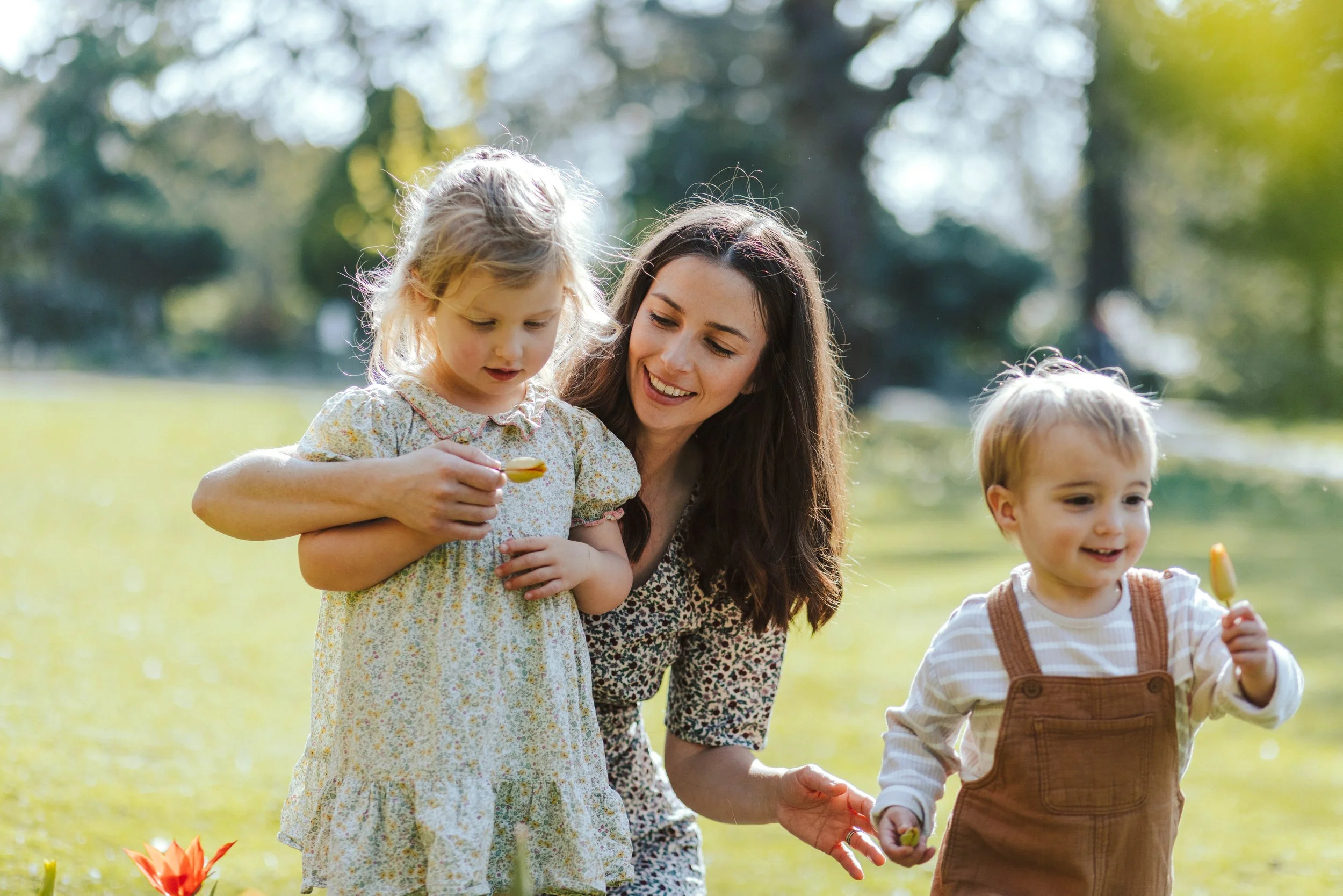 York family photographer 